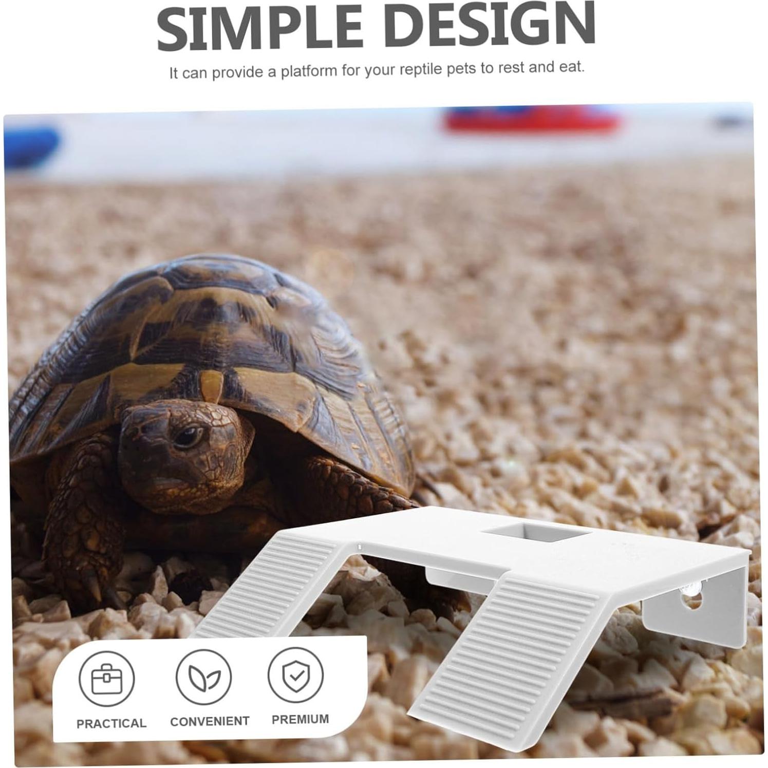 Plataforma para Tortugas Yardwe con Ventosas 22x17cm