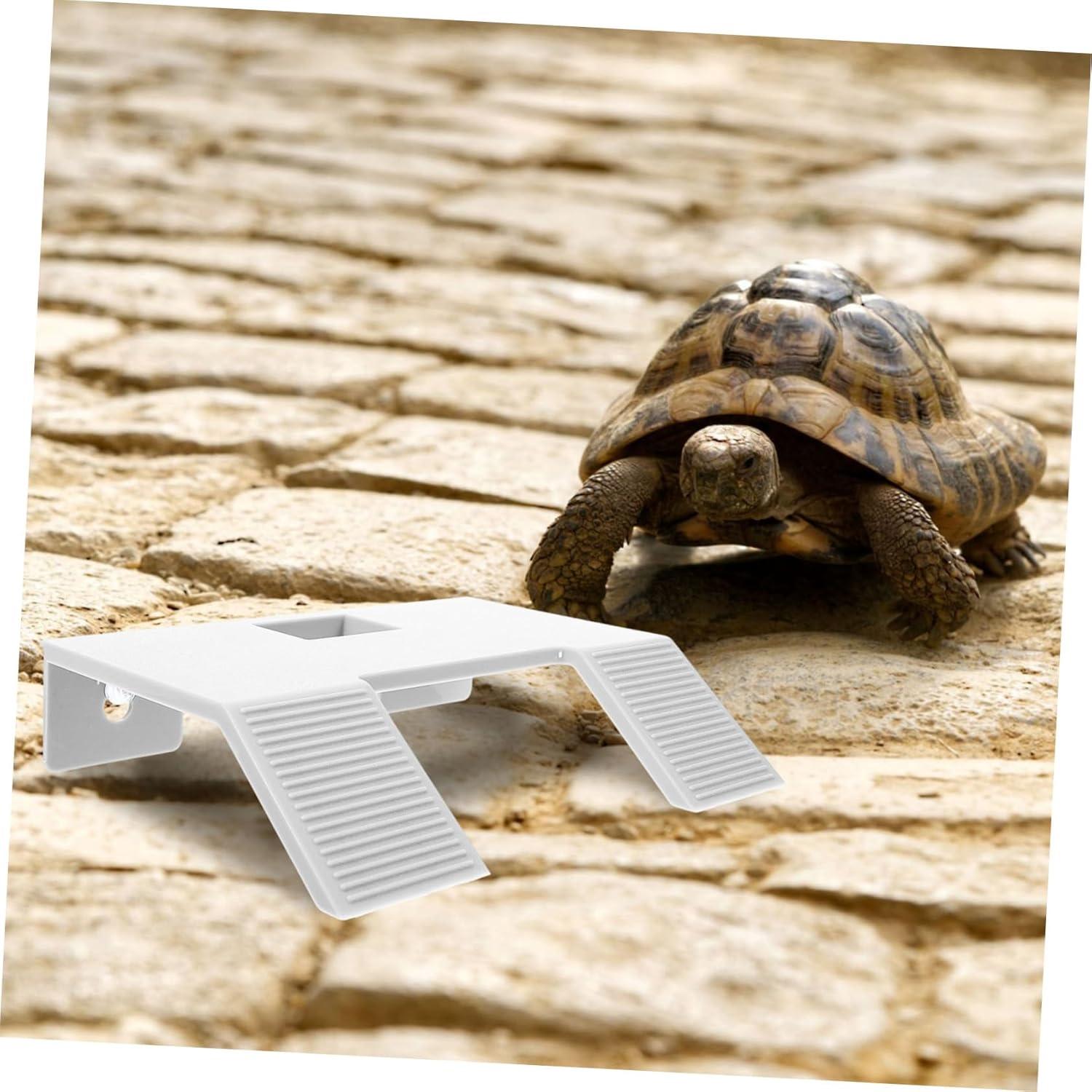 Plataforma para Tortugas Yardwe con Ventosas 22x17cm