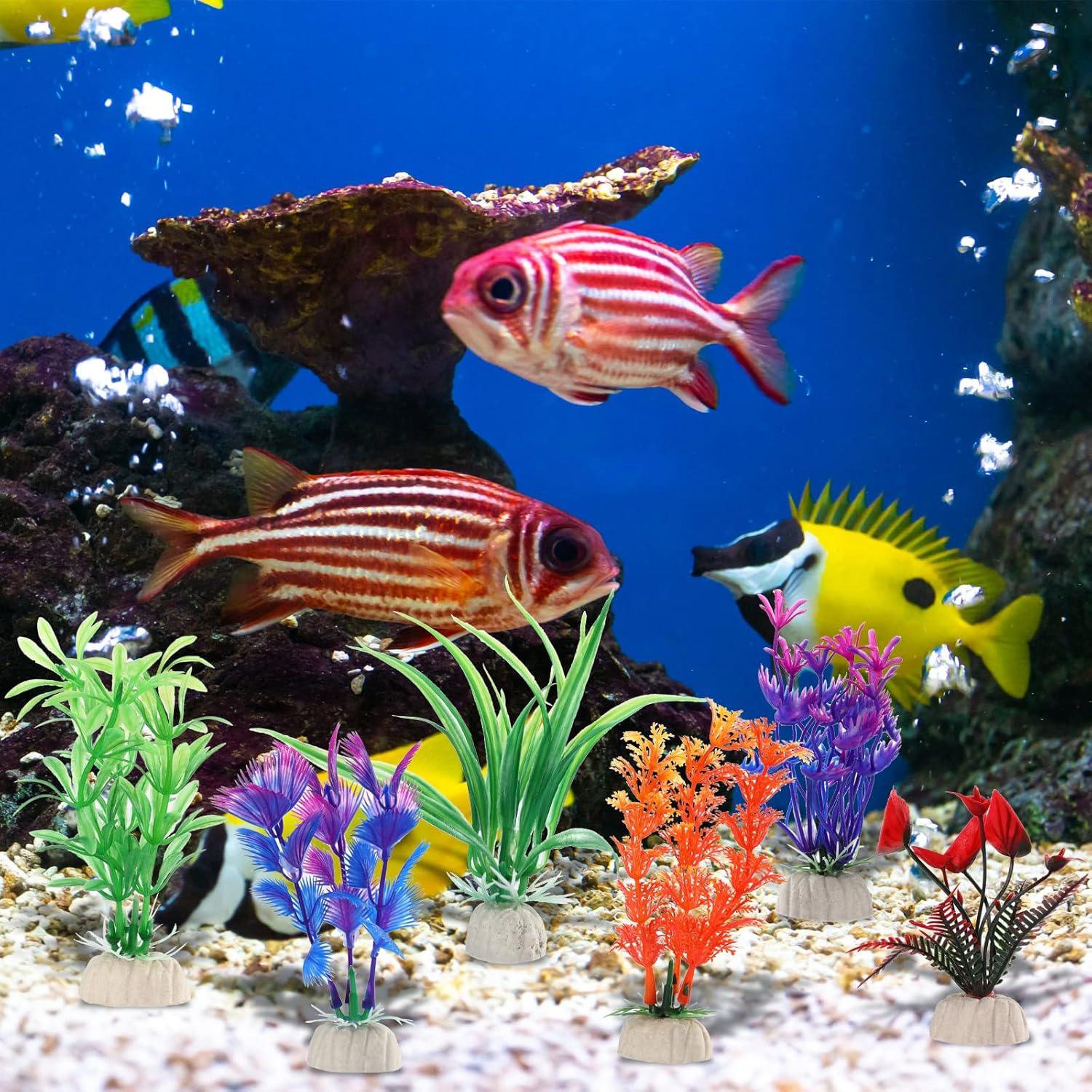 Juego de 8 Accesorios para Acuario Tortugas Janinka