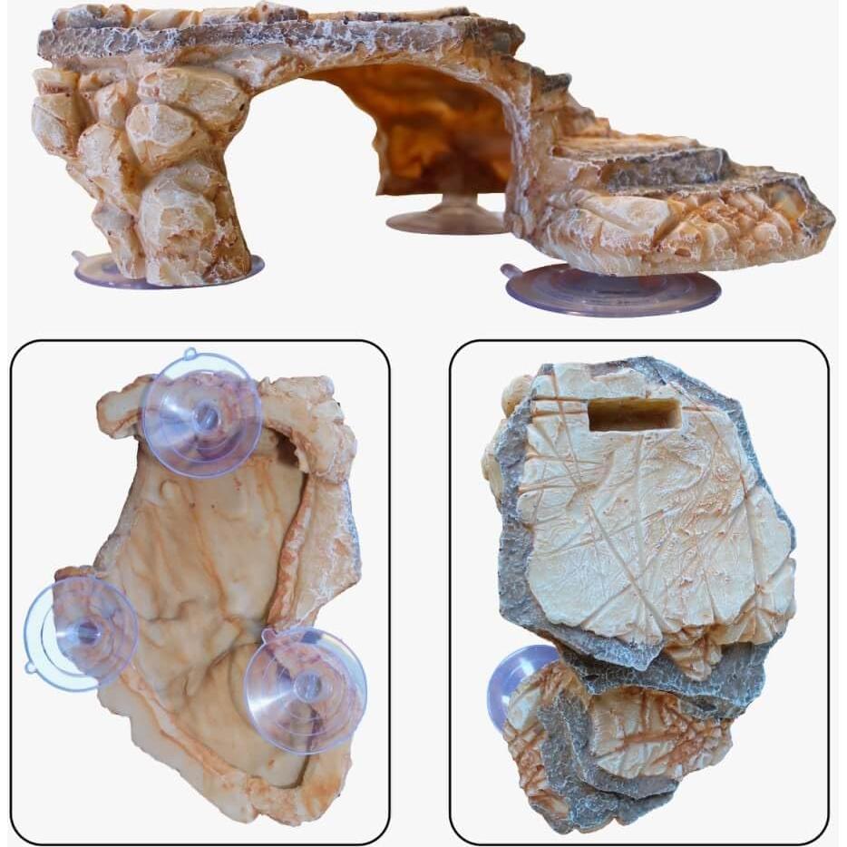 Plataforma de Sol para Tortugas Dean Designs - Beige - 3 Ventosas