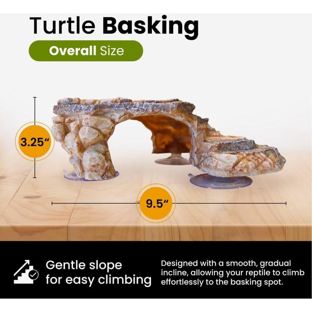 Plataforma de Sol para Tortugas Dean Designs - Beige - 3 Ventosas