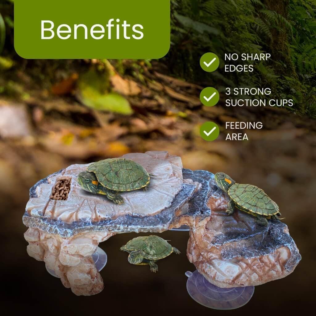 Plataforma de Sol para Tortugas Dean Designs - Beige - 3 Ventosas