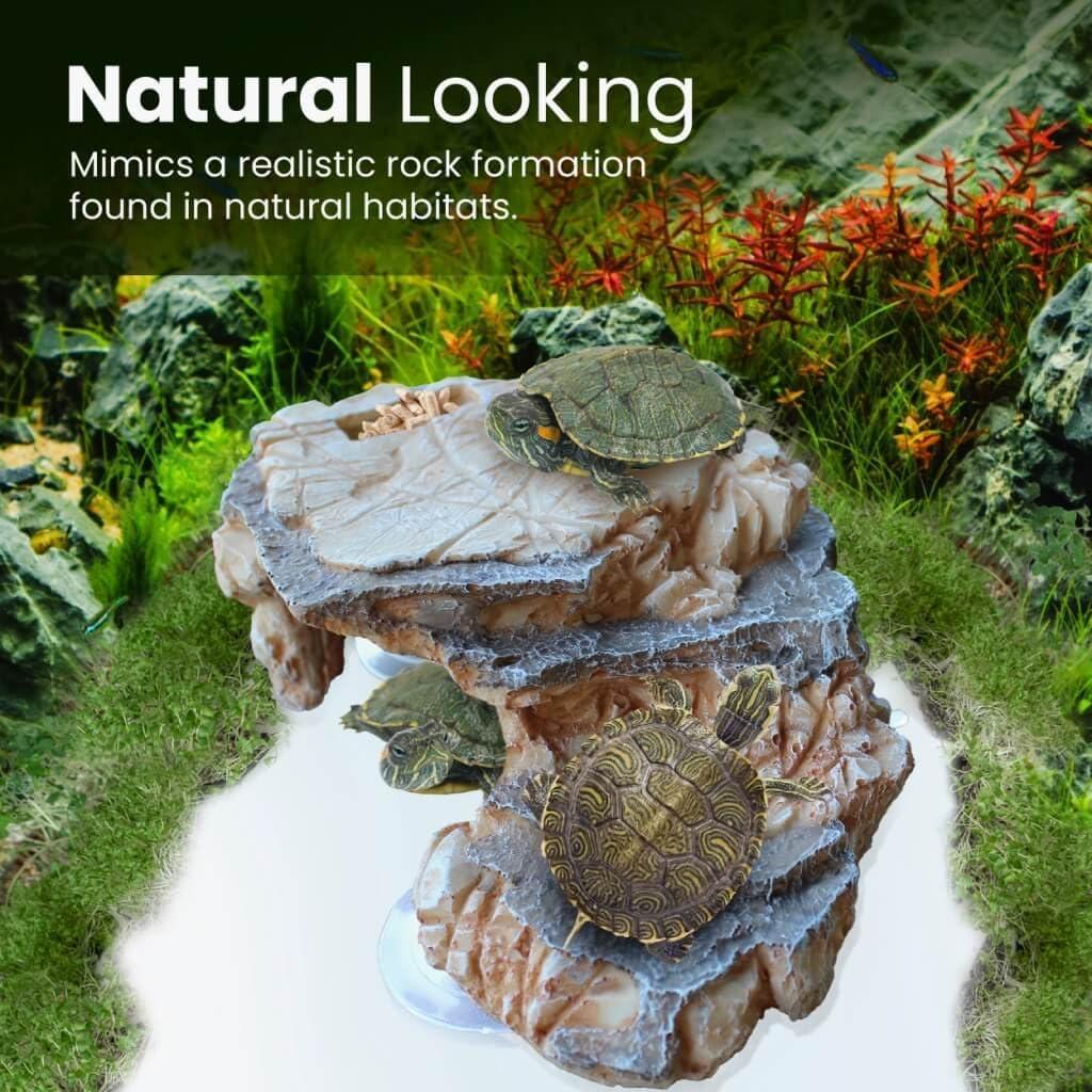 Plataforma de Sol para Tortugas Dean Designs - Beige - 3 Ventosas