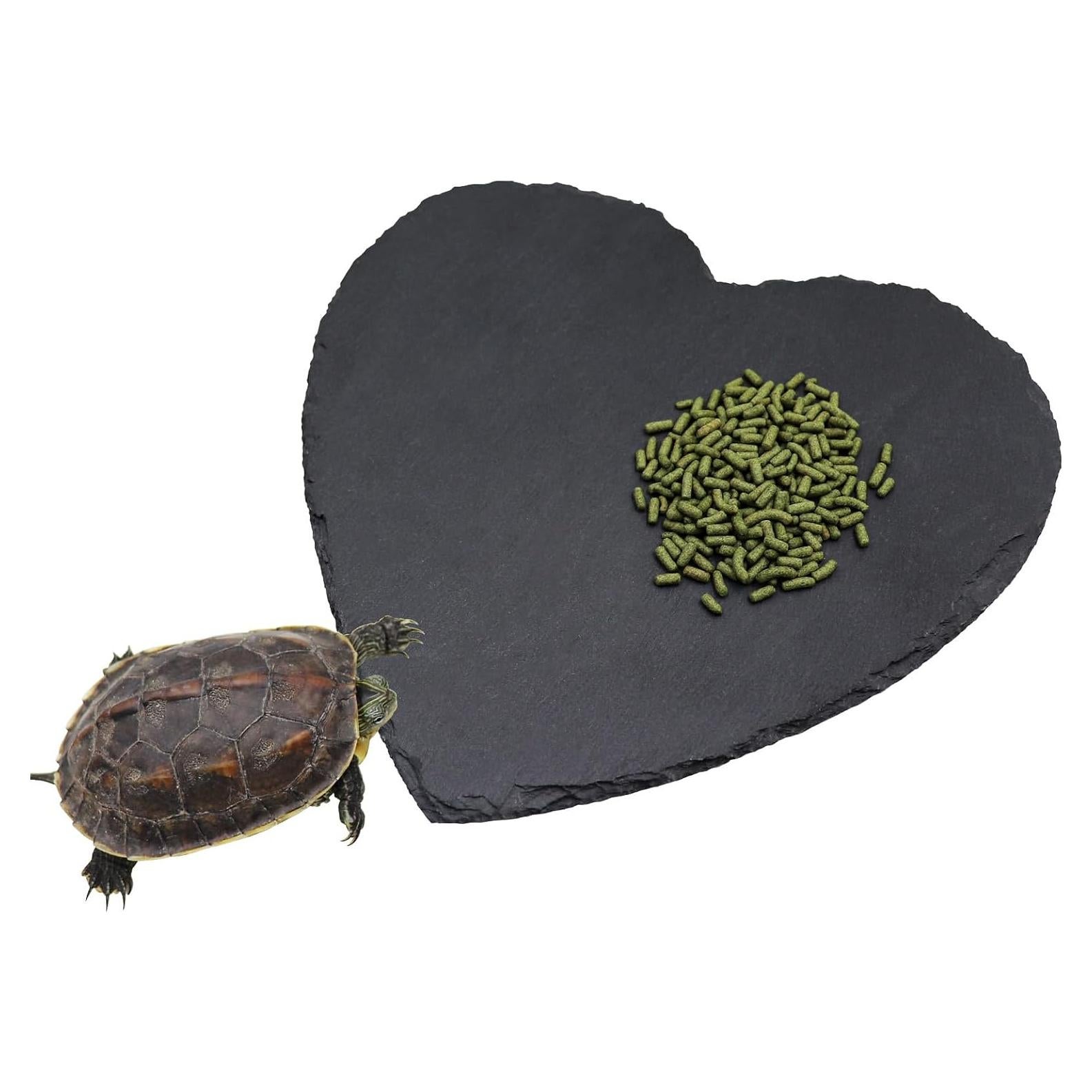 Plataforma de Sol para Reptiles Oooct 20.3 x 20.3 cm Natural