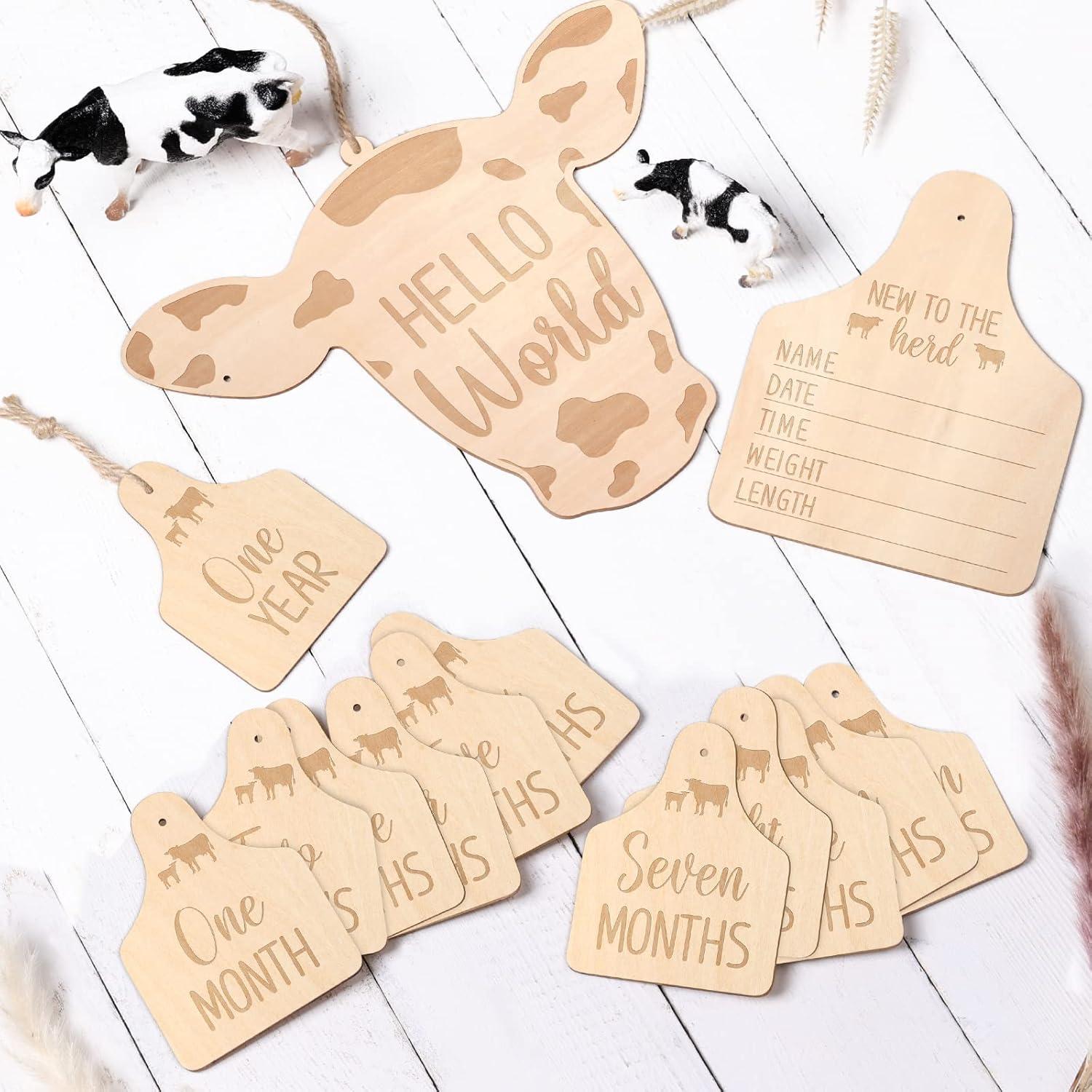 Tarjetas Mensuales de Bebé Huray Rayho - Set de 14 Tarjetas de Madera