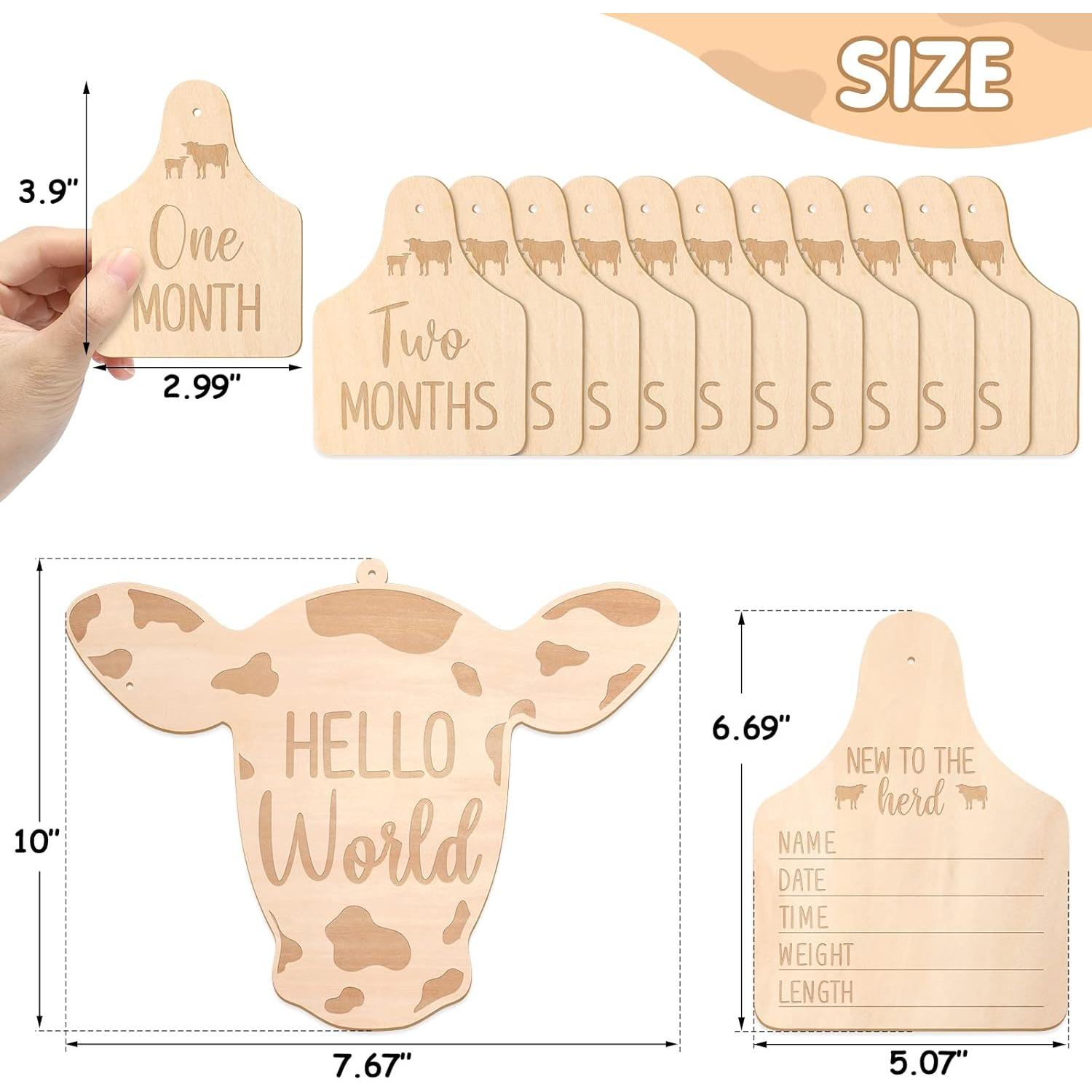 Tarjetas Mensuales de Bebé Huray Rayho - Set de 14 Tarjetas de Madera