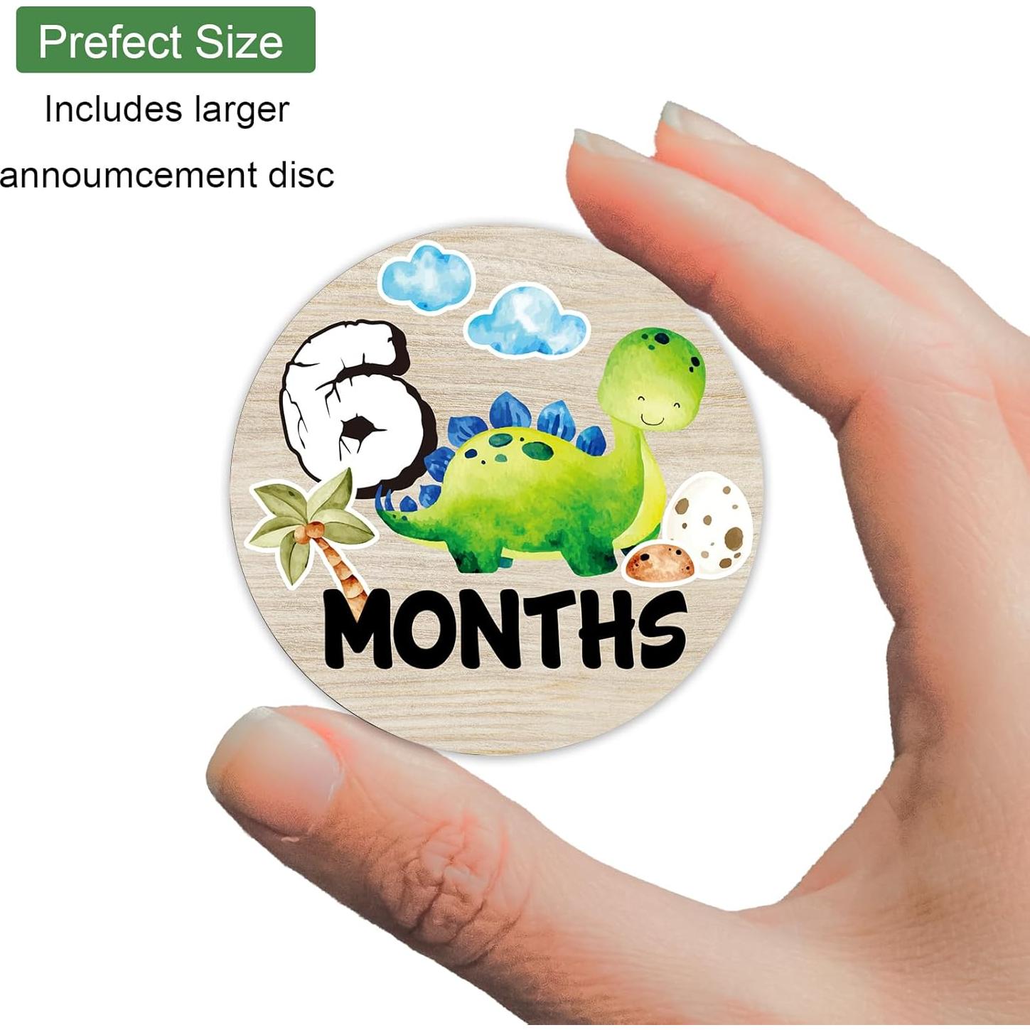 Círculos de Hitos para Bebés de Madera - 7 Piezas Reutilizables