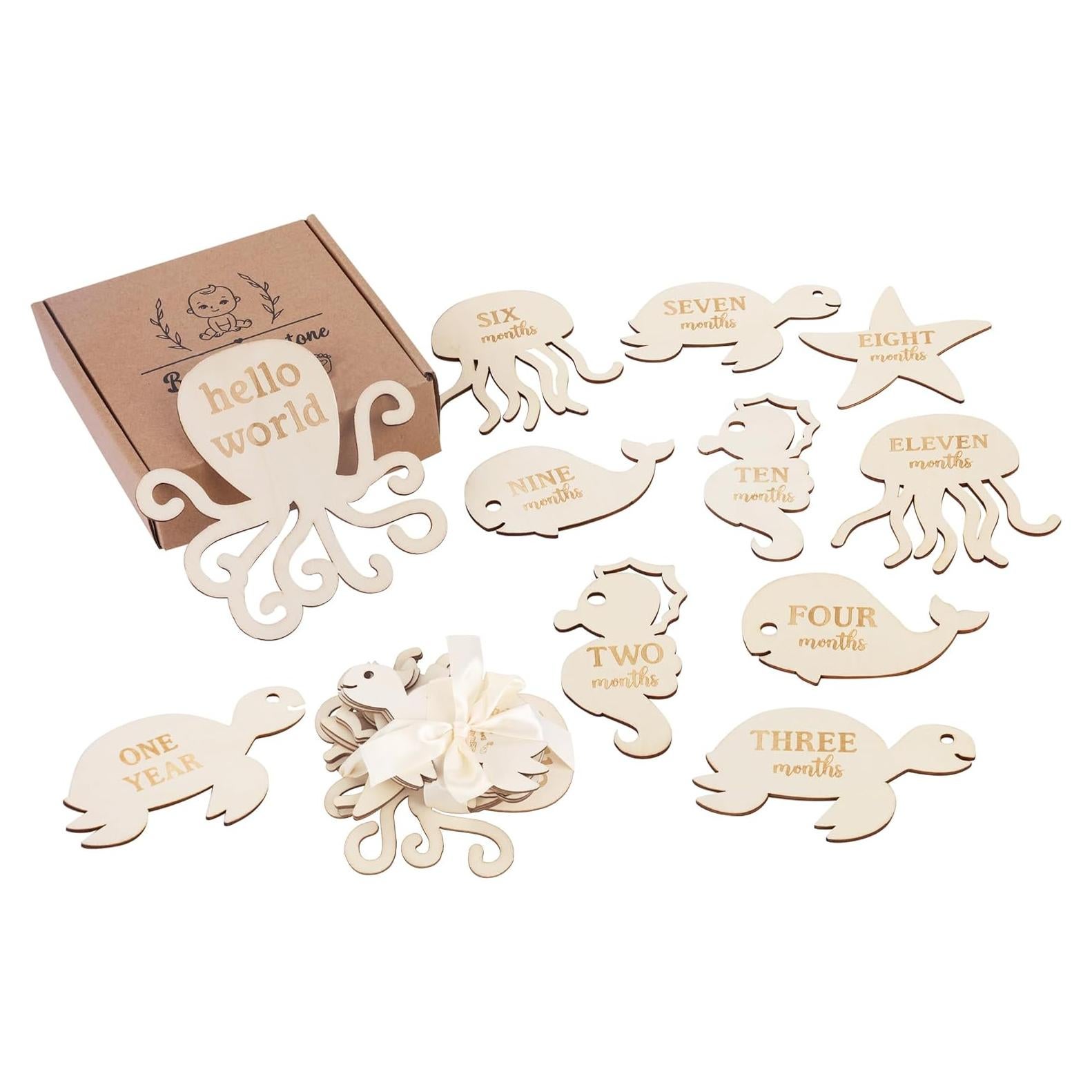 Tarjetas de Hitos Mensuales Sursurprise - Animales Oceánicos 13PCS