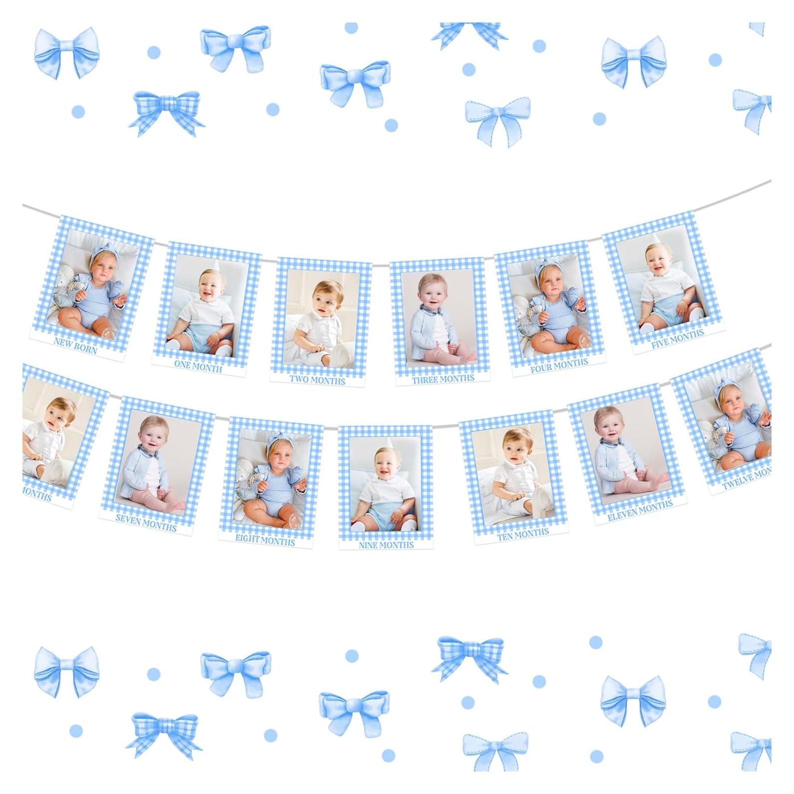Gingham Photo Banner - 1st Birthday Baby Milestone Cards - Blue Checkered - Boy or Girl
