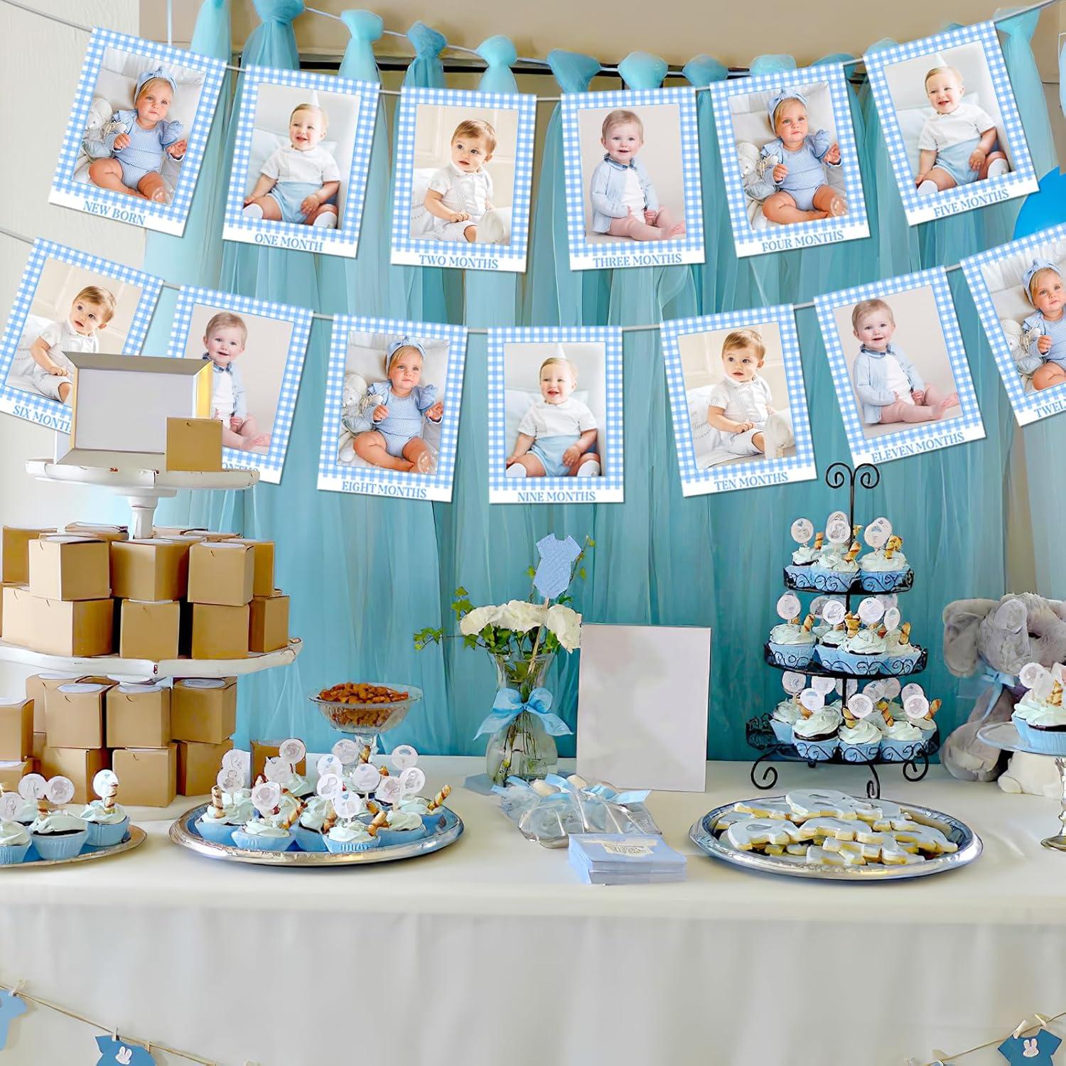 Gingham Photo Banner - 1st Birthday Baby Milestone Cards - Blue Checkered - Boy or Girl