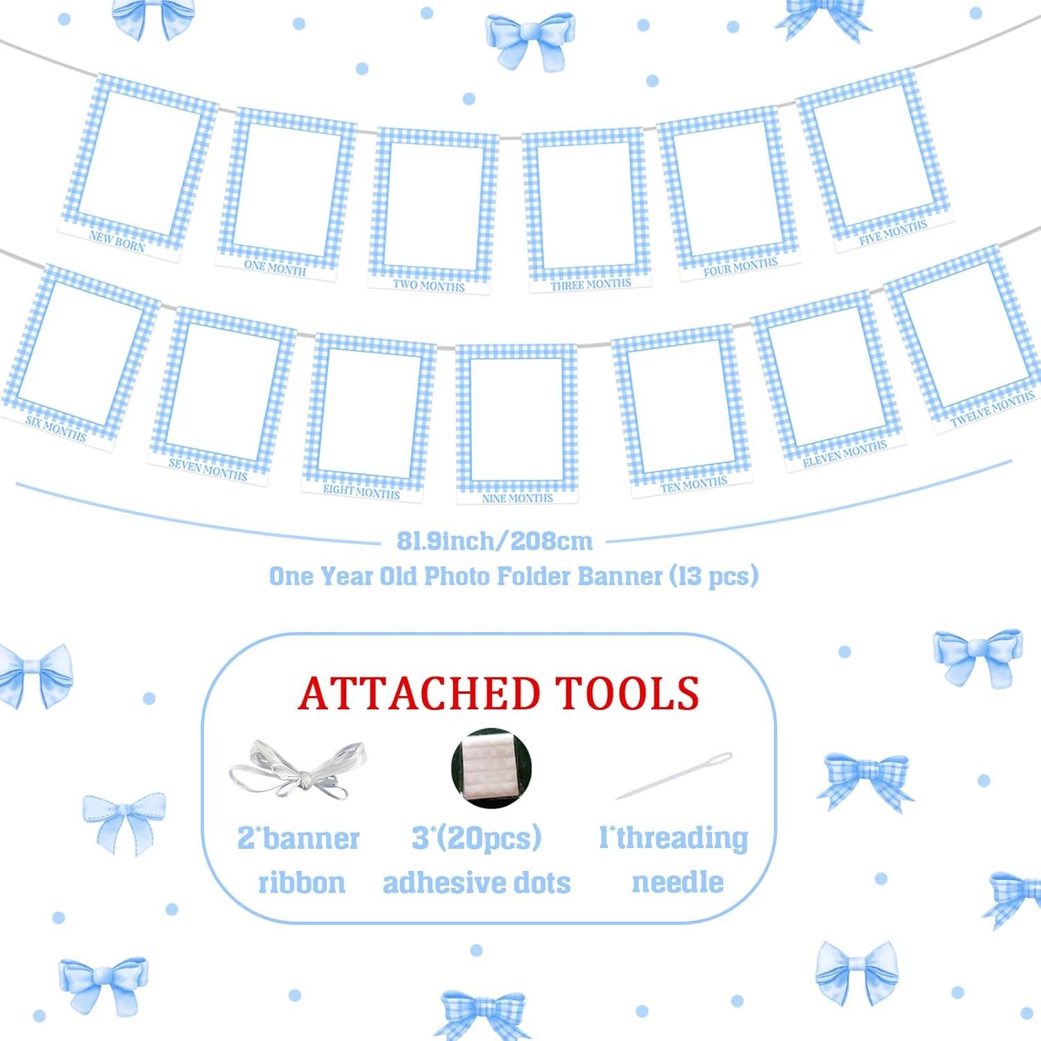 Gingham Photo Banner - 1st Birthday Baby Milestone Cards - Blue Checkered - Boy or Girl