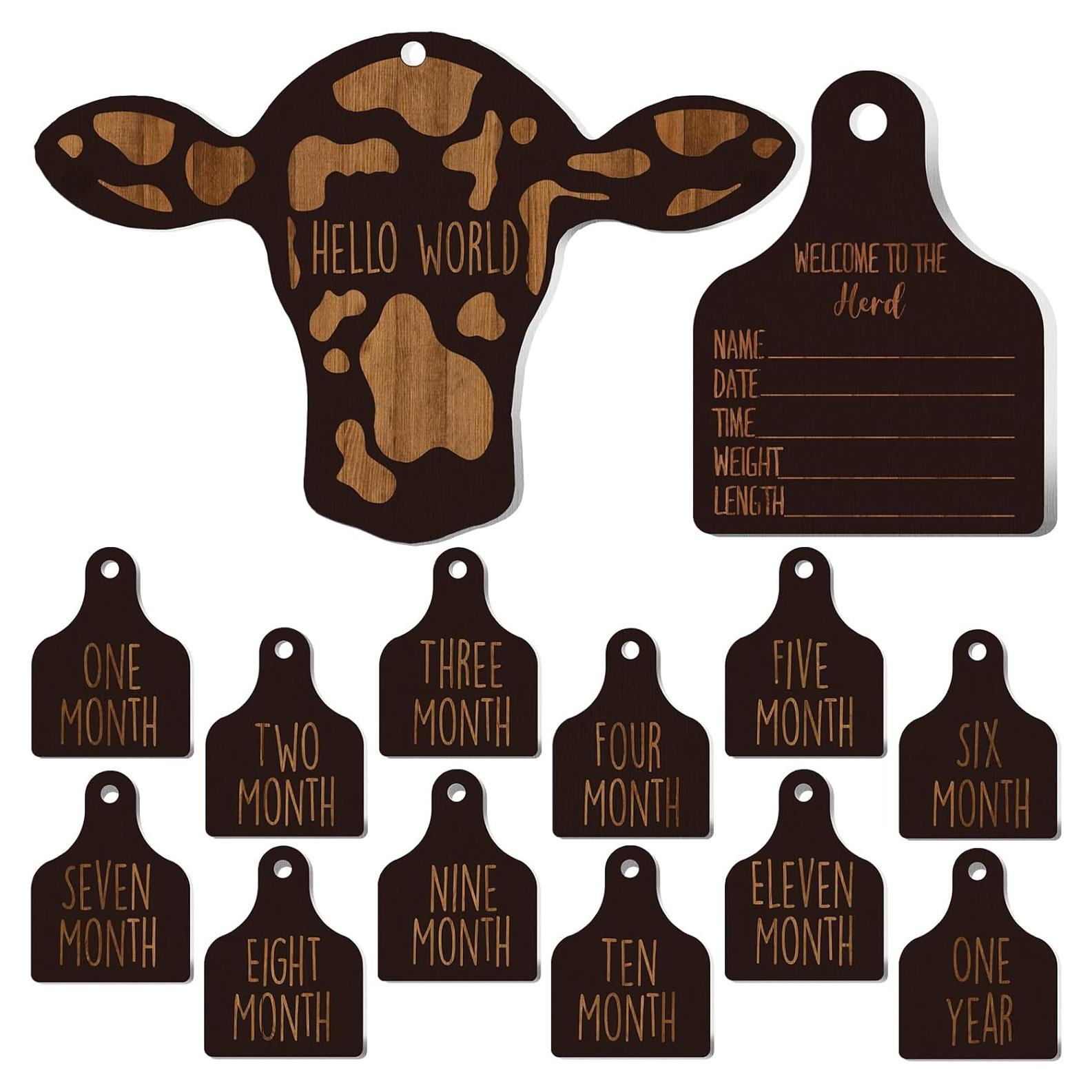 Tarjetas de Hitos Mensuales Bebé Maitys 14 Piezas Madera