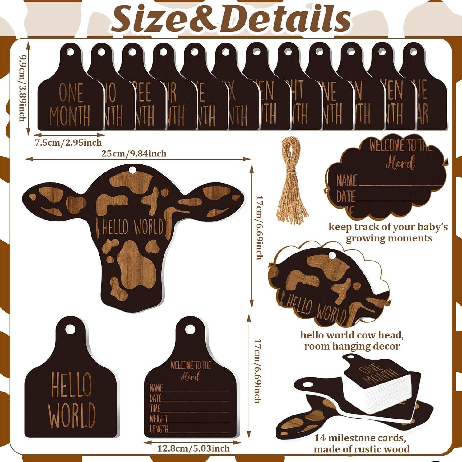 Tarjetas de Hitos Mensuales Bebé Maitys 14 Piezas Madera