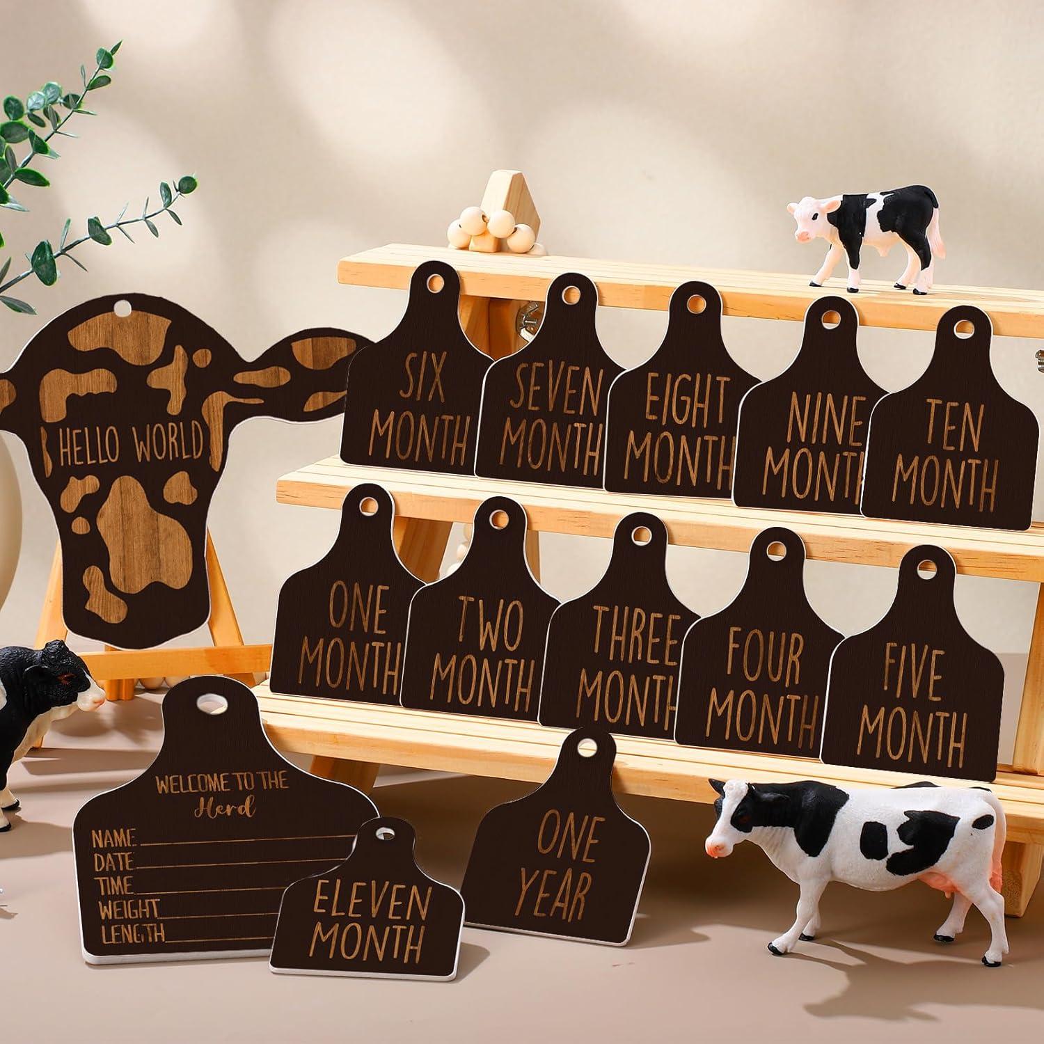 Tarjetas de Hitos Mensuales Bebé Maitys 14 Piezas Madera