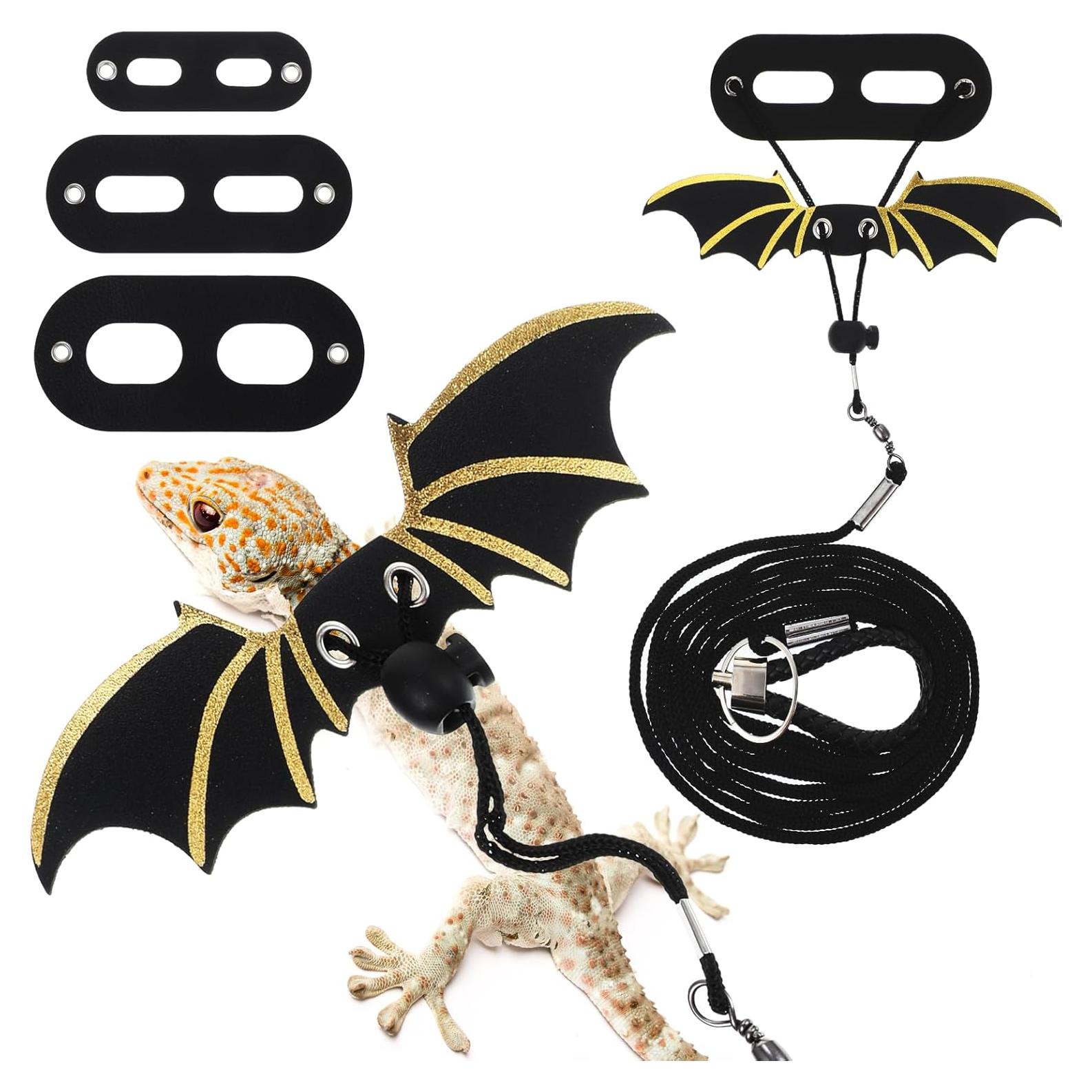 Conjunto Correa y Arnés Ajustable Dragón Barbudo Quilax