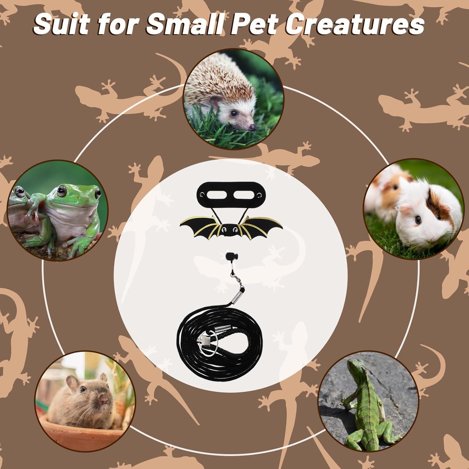 Conjunto Correa y Arnés Ajustable Dragón Barbudo Quilax