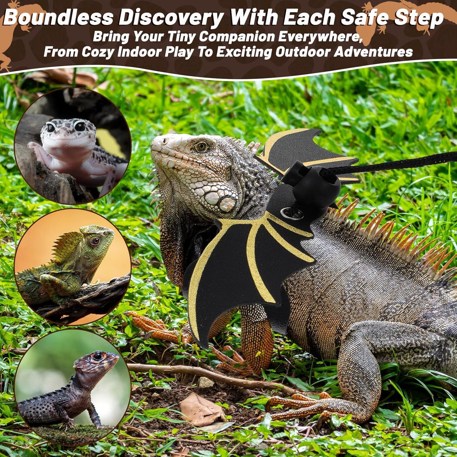 Conjunto Correa y Arnés Ajustable Dragón Barbudo Quilax