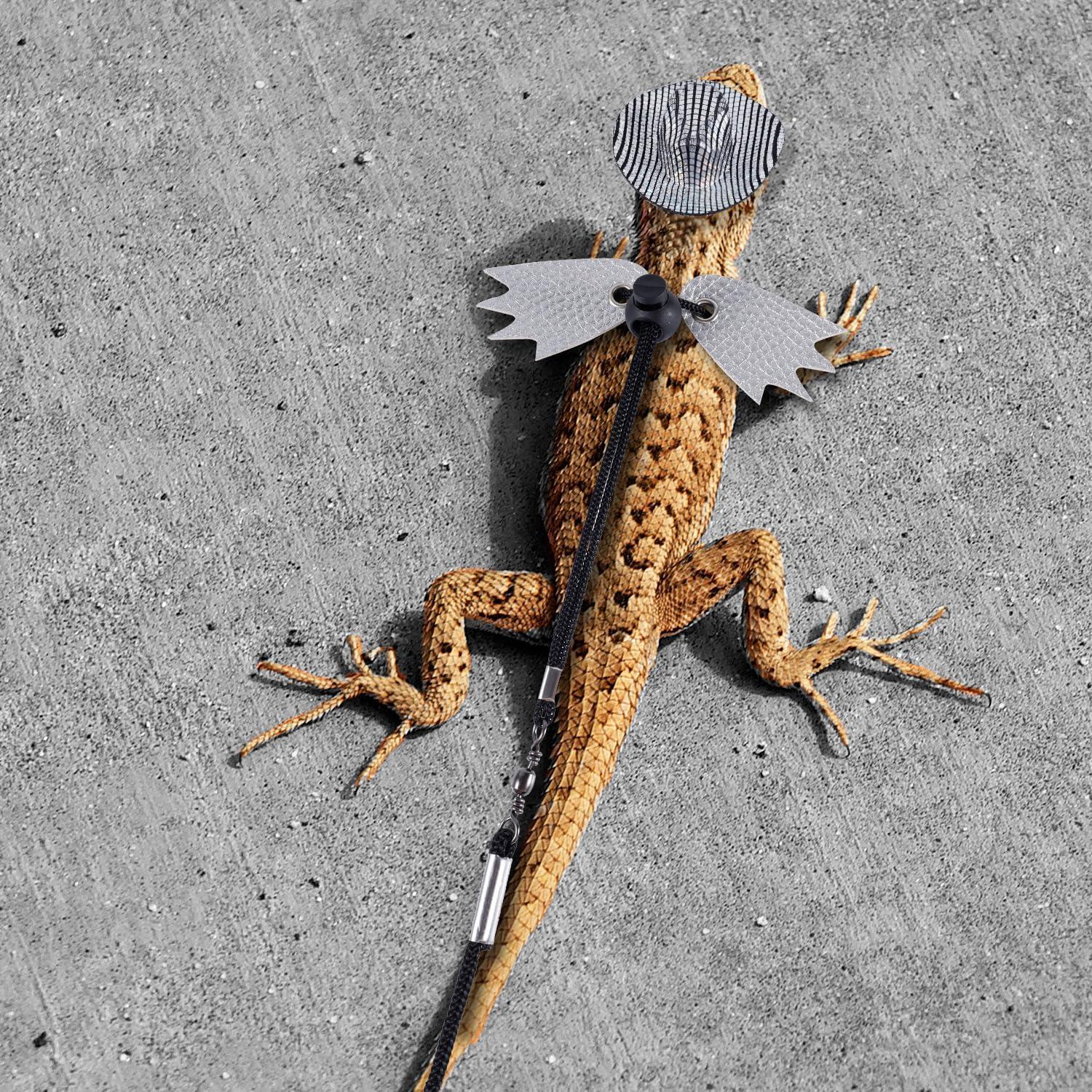 Arnés de Correa Ajustable para Lagarto Dragón Barbudo - PEUTIER