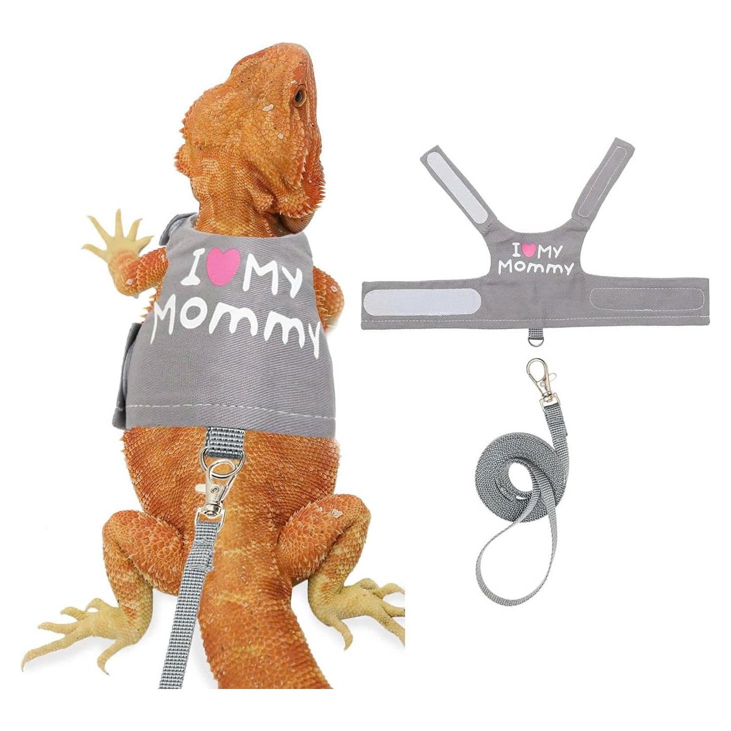 Arnés y Correa Ajustable para Dragón Barbudo FupetDay