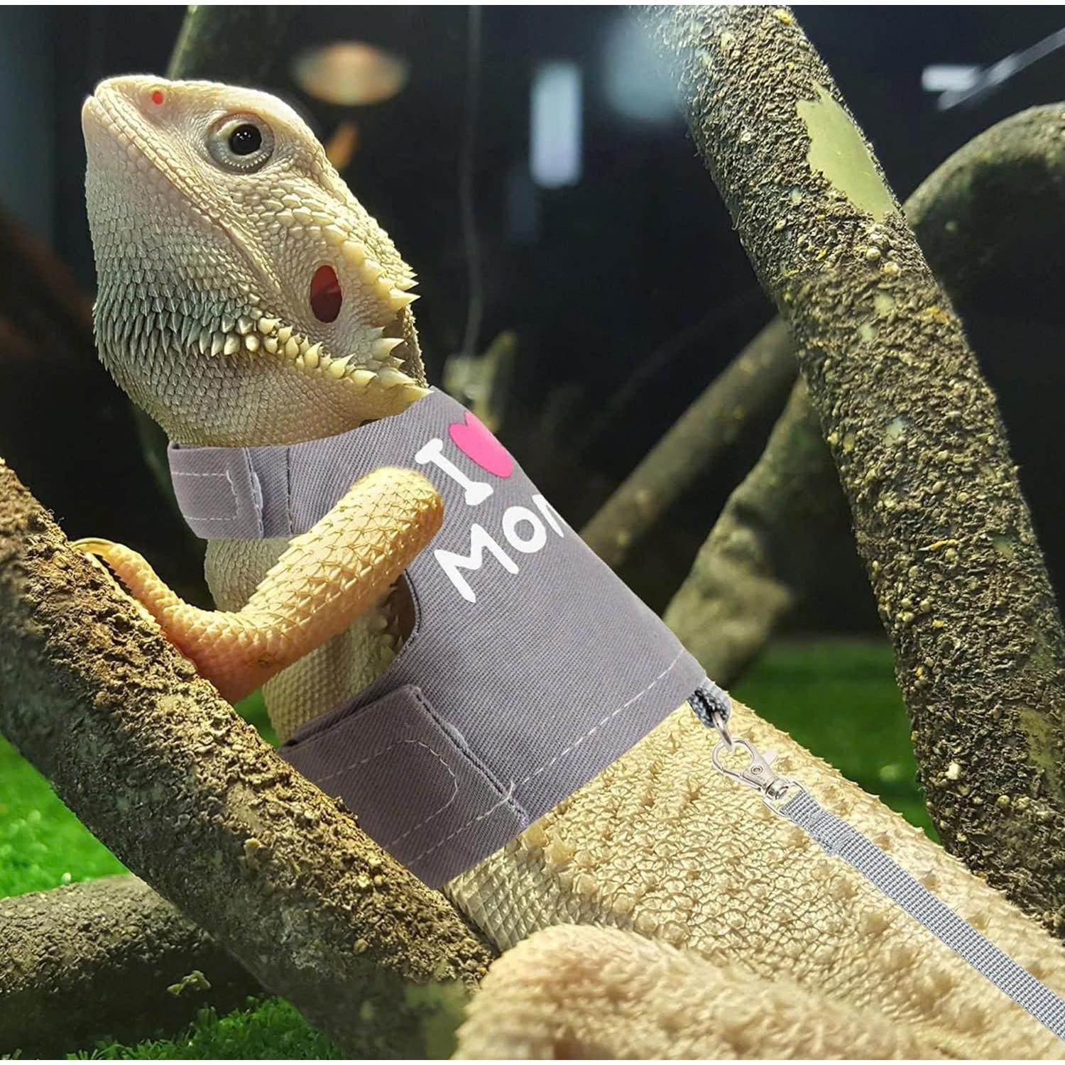 Arnés y Correa Ajustable para Dragón Barbudo FupetDay