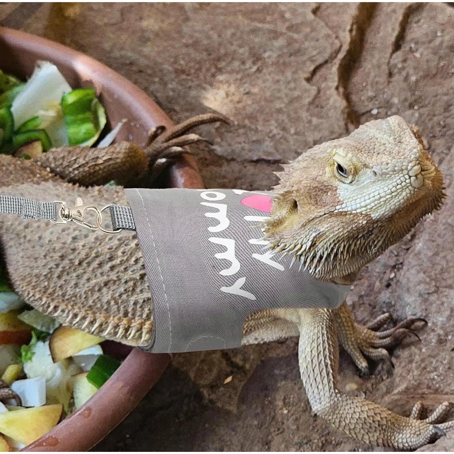 Arnés y Correa Ajustable para Dragón Barbudo FupetDay