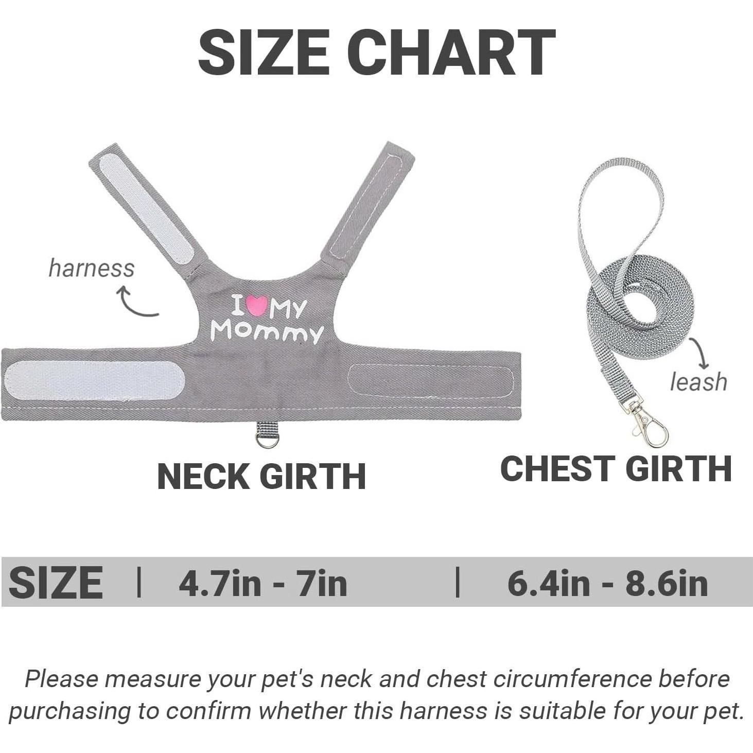 Arnés y Correa Ajustable para Dragón Barbudo FupetDay