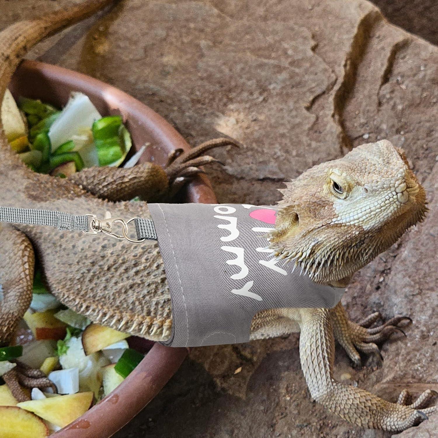 Arnés y Correa Ajustable CUSOZWO para Lagartos Pequeños