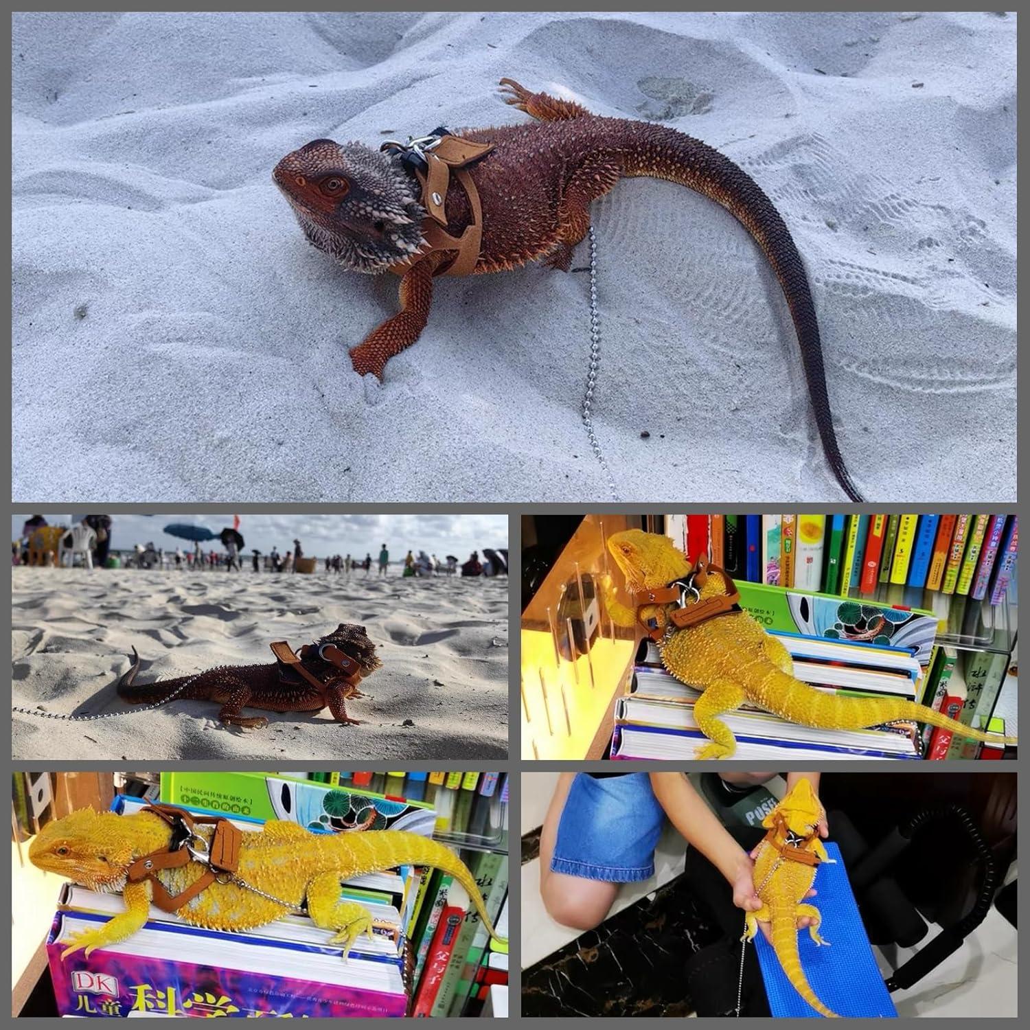 Arnés Ajustable para Dragón Barbudo KUNBIUH - M, L, XL