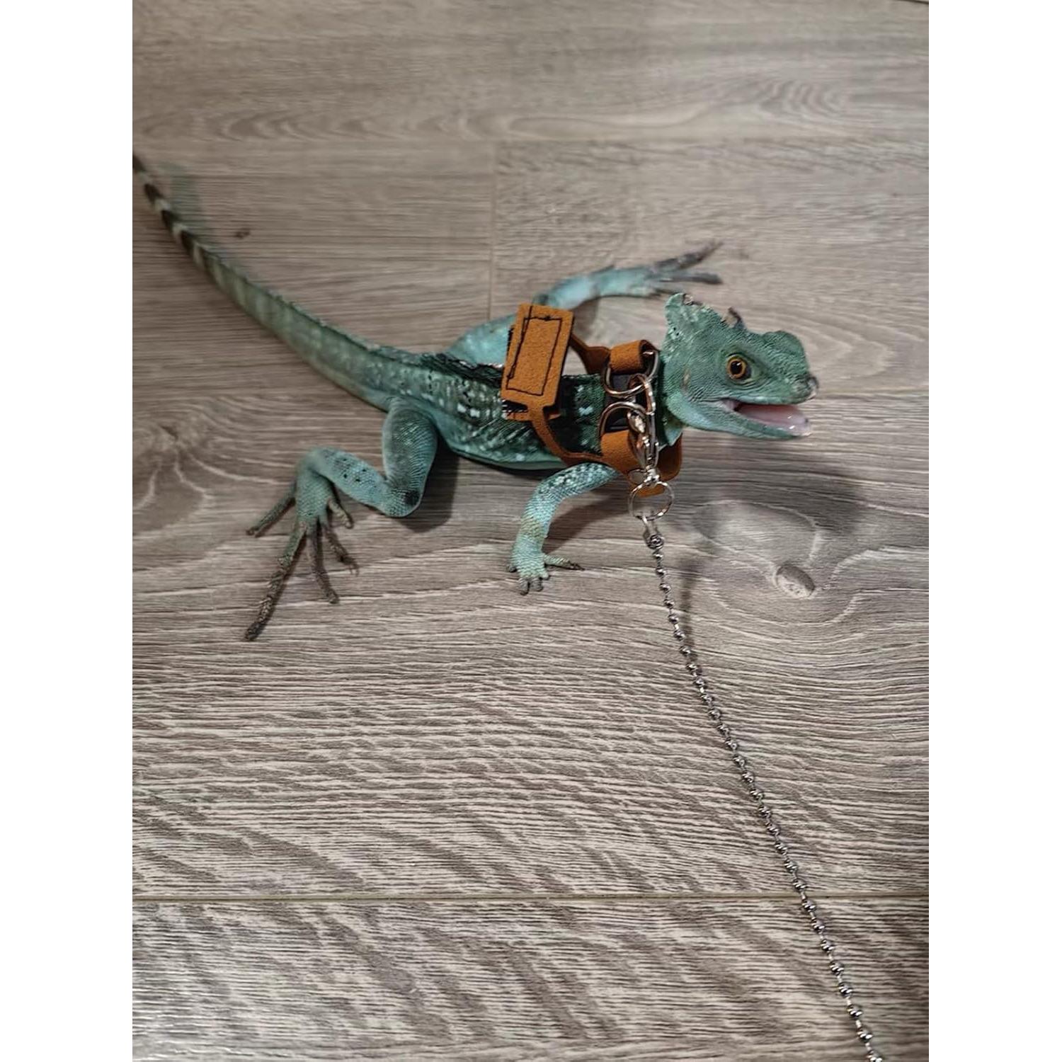 Arnés Ajustable para Dragón Barbudo KUNBIUH - M, L, XL