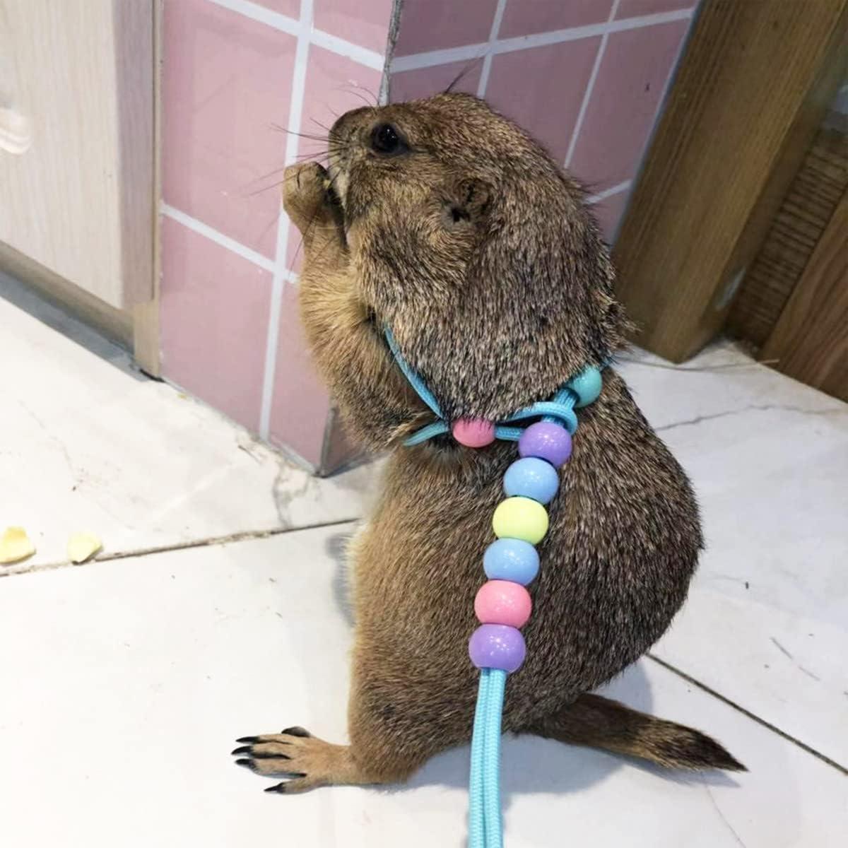 Arnés Ajustable para Lagarto Duoduo11 - Correa para Reptiles