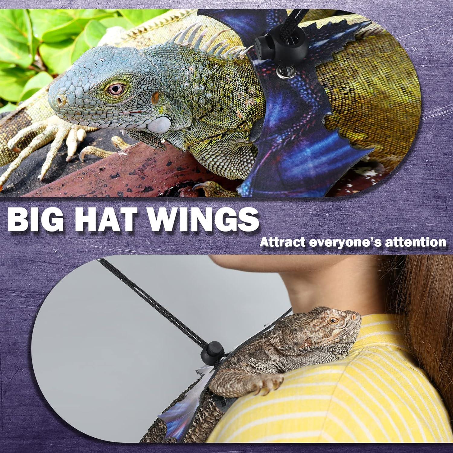 Arnés y Correa para Dragón Barbudo Weewooday - 3 Piezas S, M, L