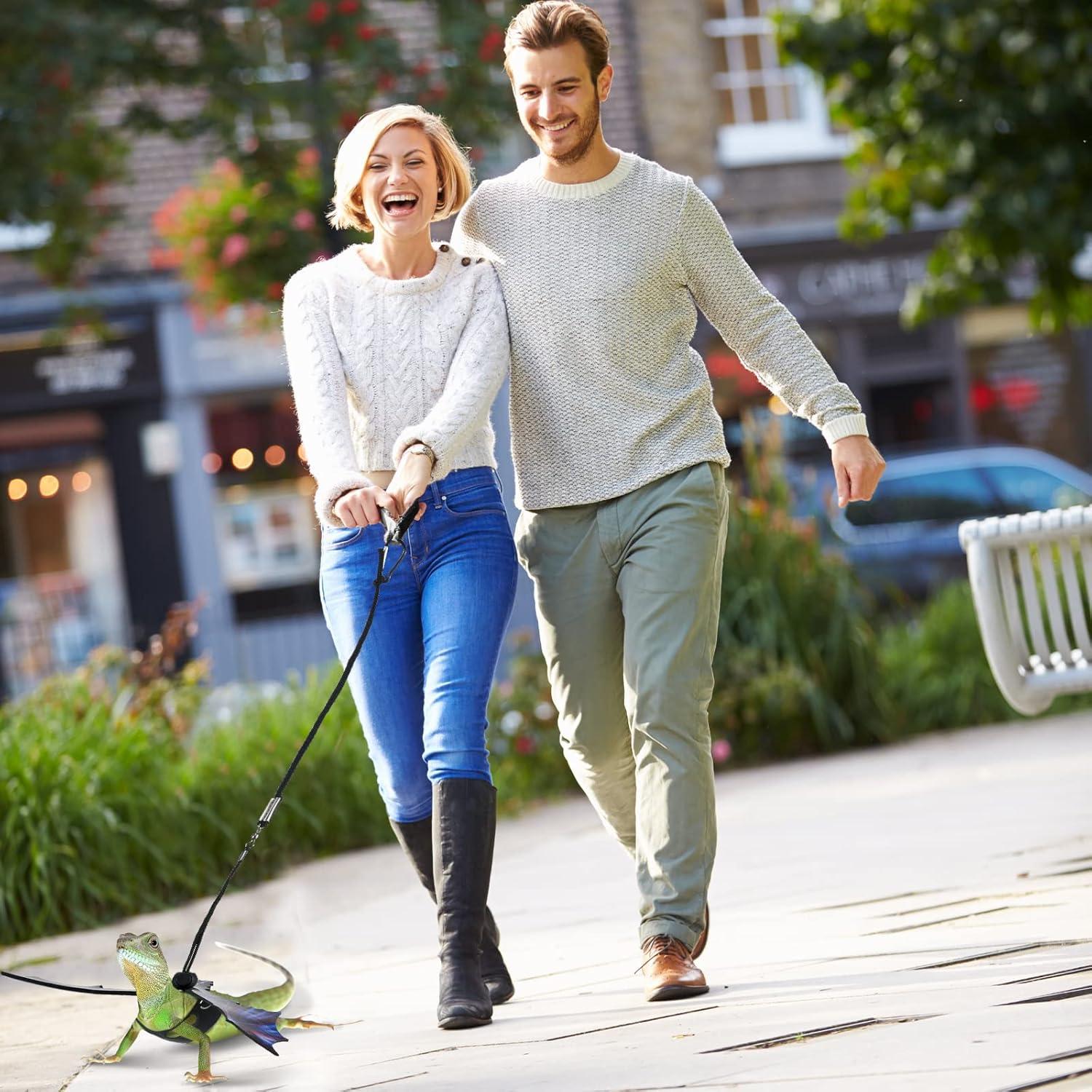 Arnés y Correa para Dragón Barbudo Weewooday - 3 Piezas S, M, L