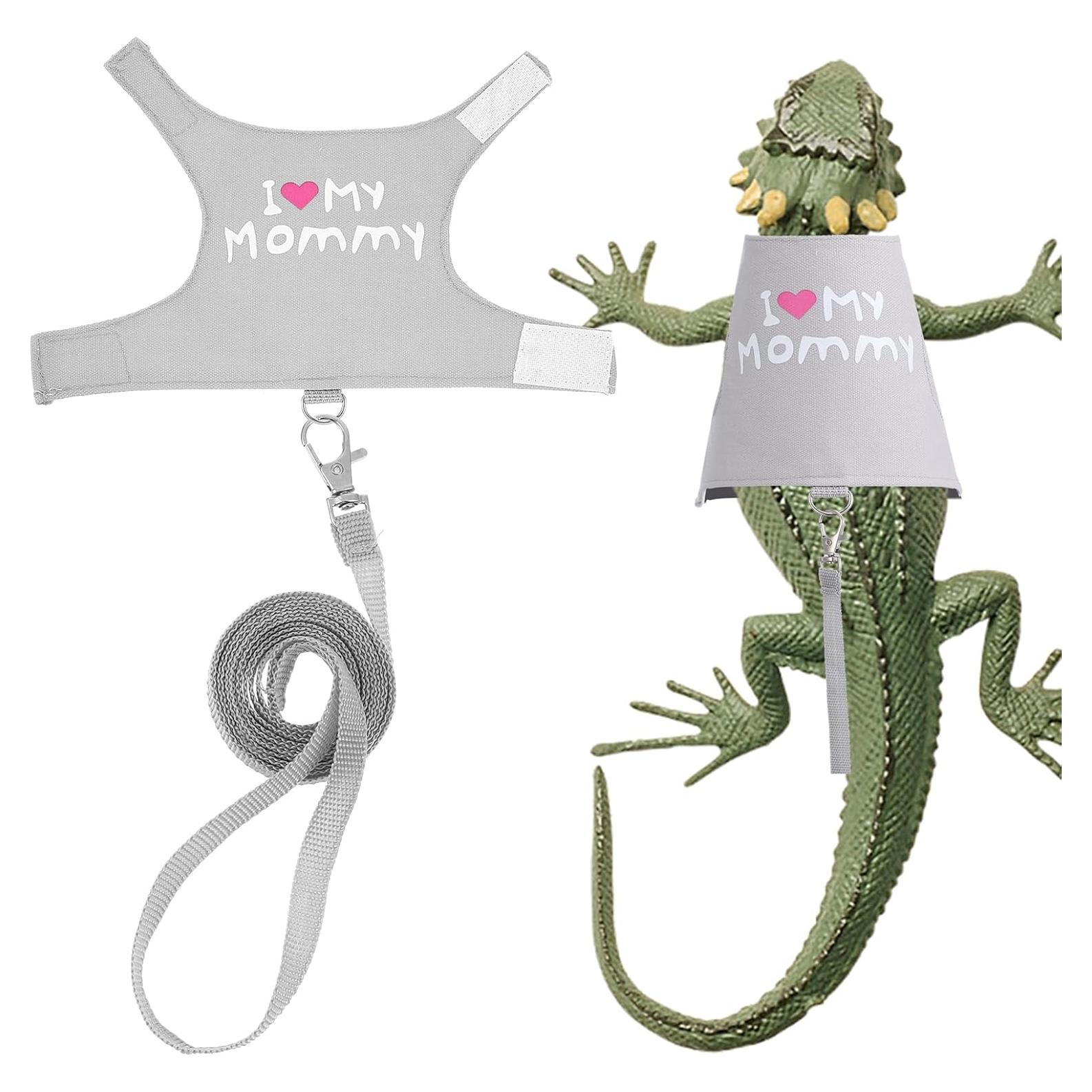 Arnés y Correa Ajustable para Dragón Barbudo ElevateTech - Gris