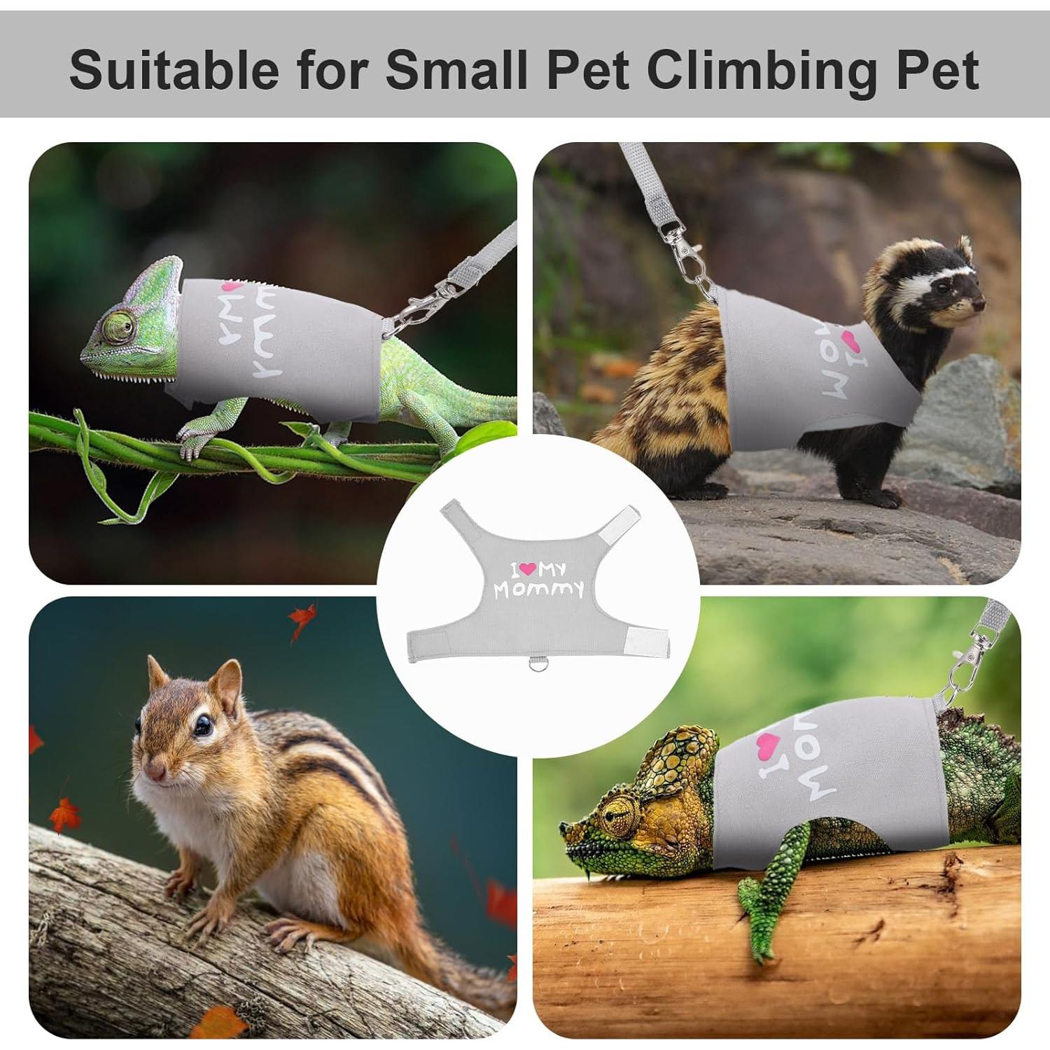 Arnés y Correa Ajustable para Dragón Barbudo ElevateTech - Gris