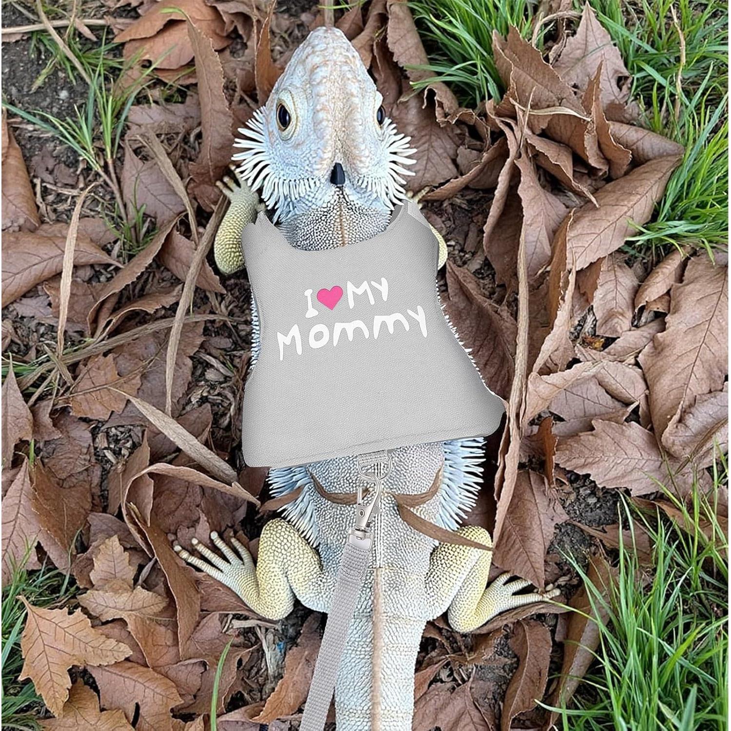 Arnés y Correa Ajustable para Dragón Barbudo ElevateTech - Gris