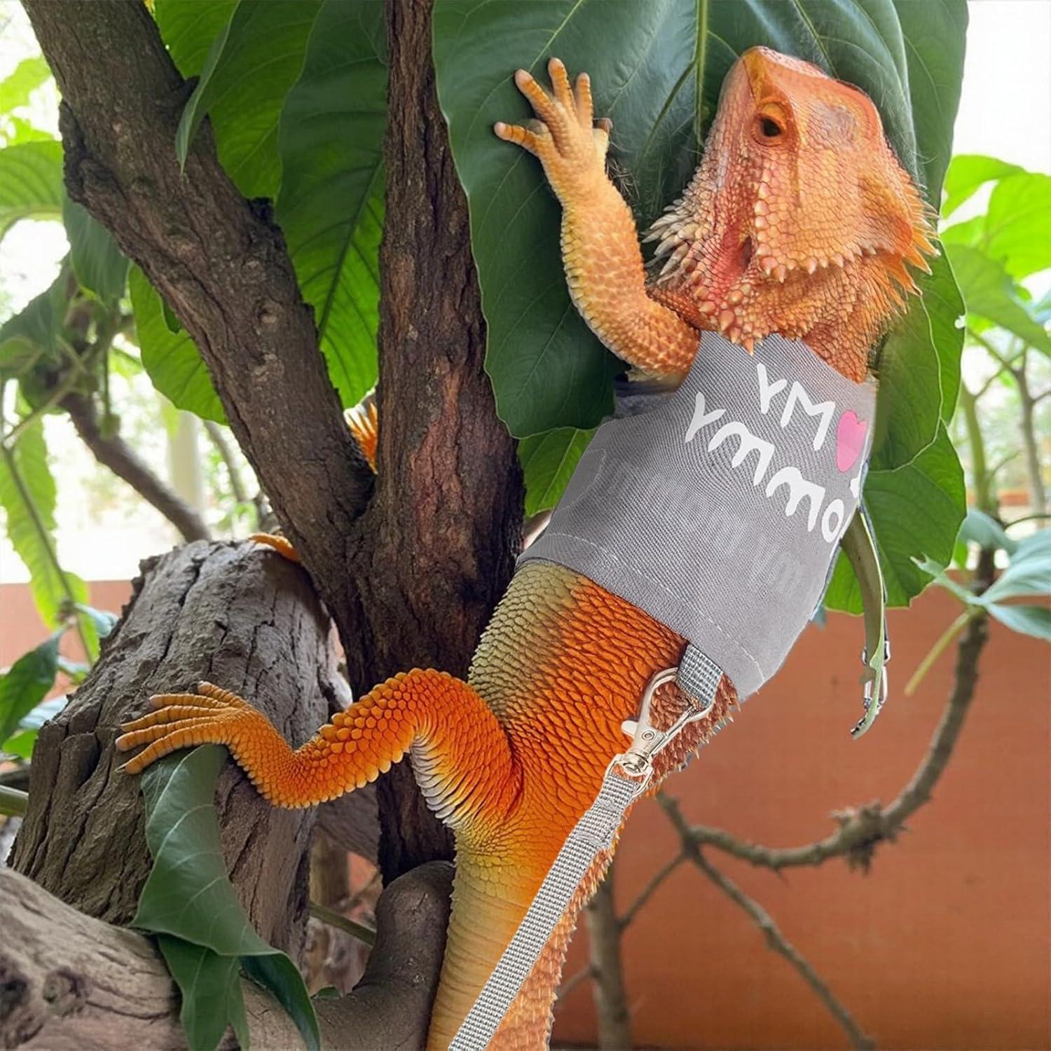 Arnés y Correa Ajustable para Dragón Barbudo ElevateTech - Gris