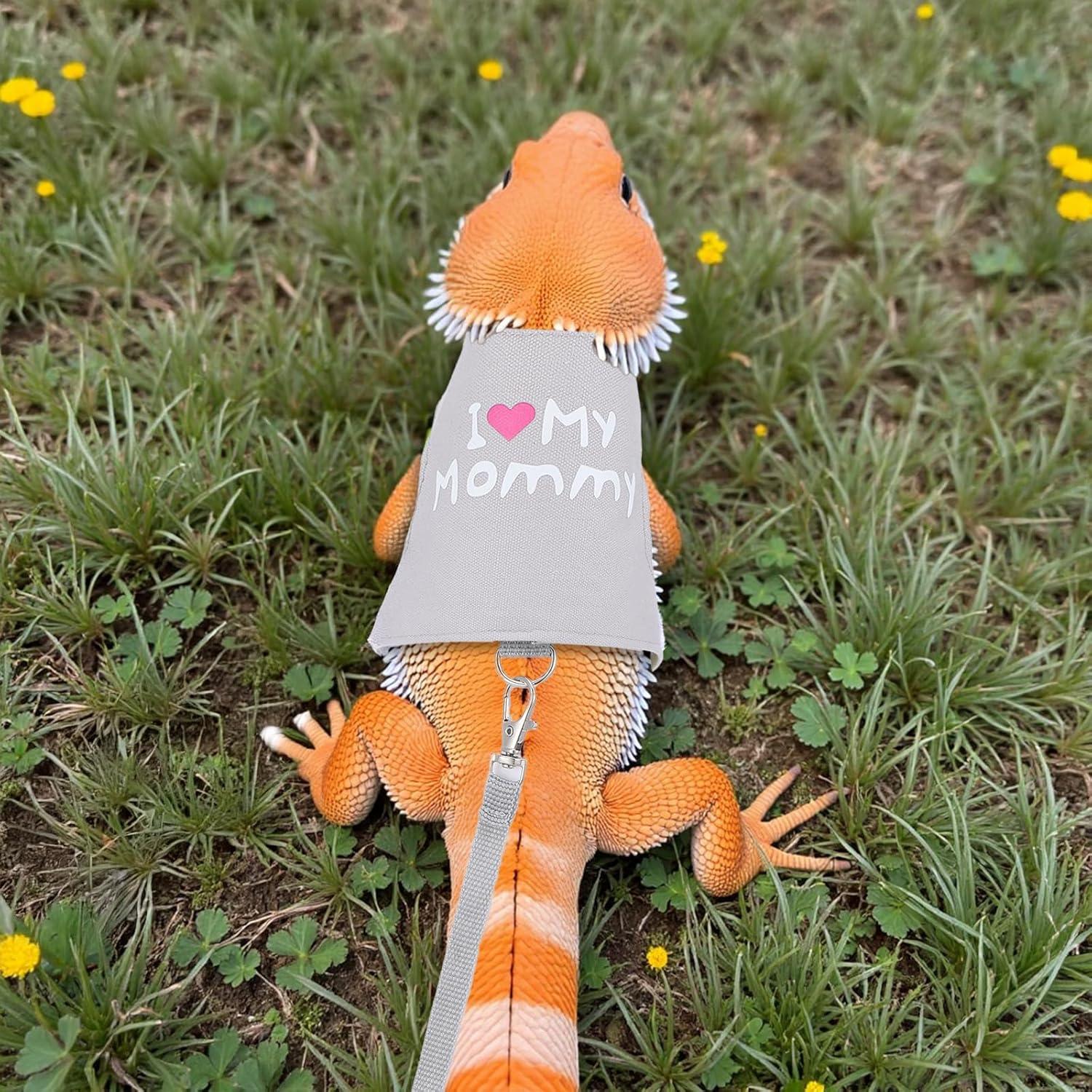 Arnés y Correa Ajustable para Dragón Barbudo ElevateTech - Gris