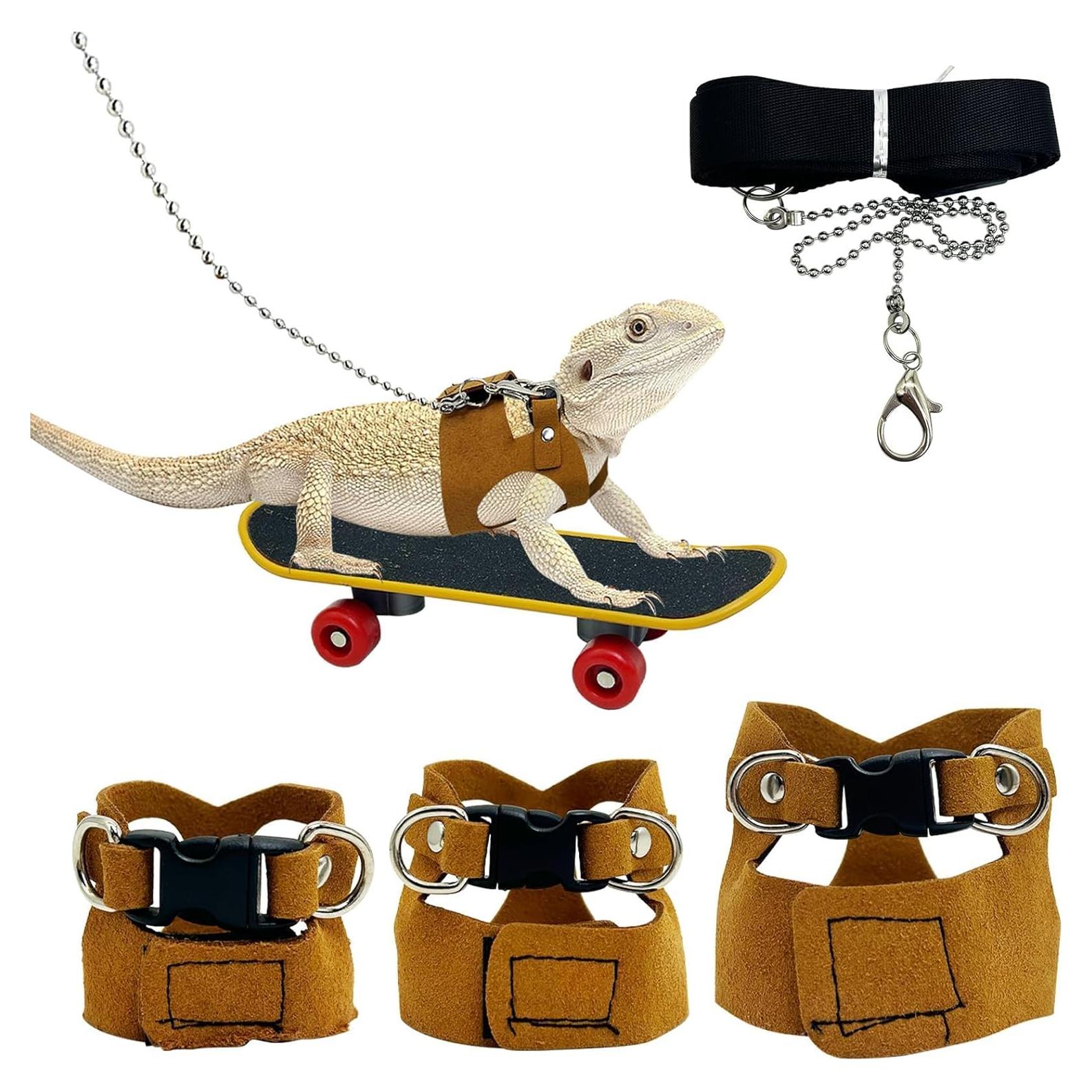 Conjunto Arnés y Correa Ajustable Dragón Barbudo PINVNBY - 3 Tamaños