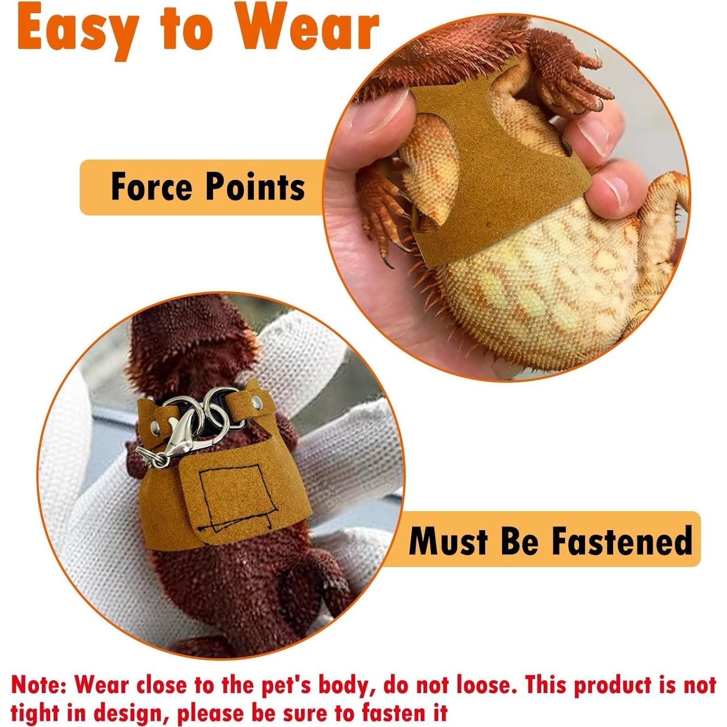 Conjunto Arnés y Correa Ajustable Dragón Barbudo PINVNBY - 3 Tamaños