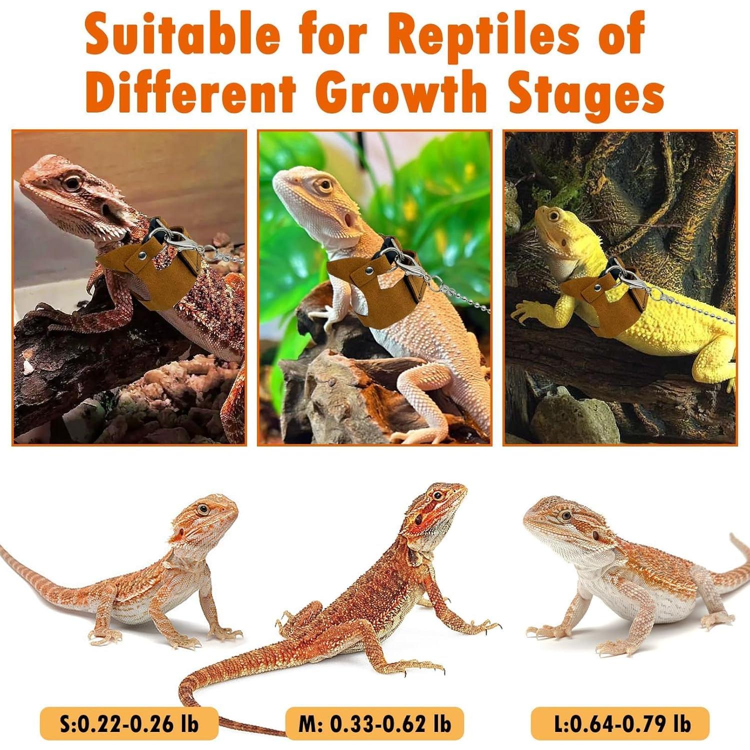 Conjunto Arnés y Correa Ajustable Dragón Barbudo PINVNBY - 3 Tamaños