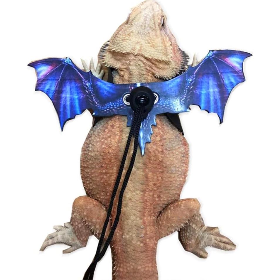 Correa Ajustable para Reptiles MiOYOOW - Dragón Barbudo, Gecko, Iguana