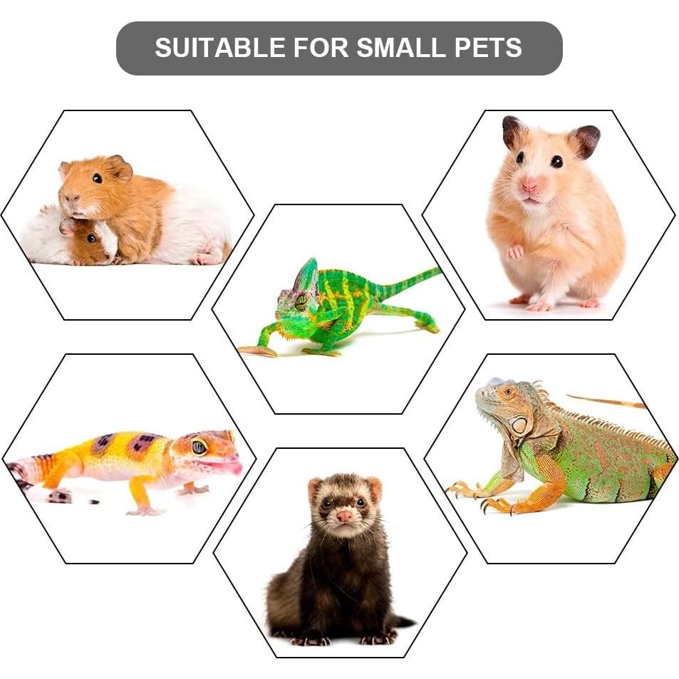 Correa Ajustable para Reptiles MiOYOOW - Dragón Barbudo, Gecko, Iguana