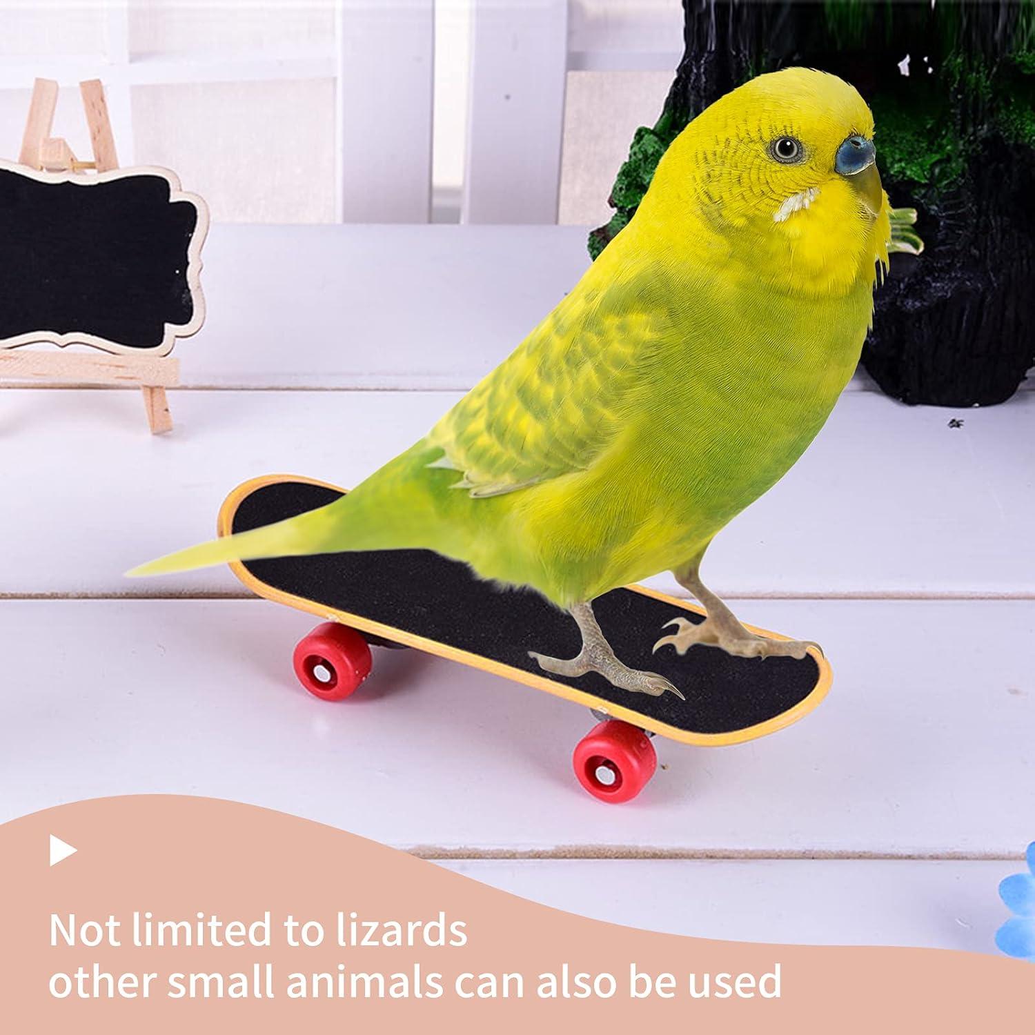 Juego de Arnés y Correa para Dragón Barbudo Worutuk - Ajustable S/M/L