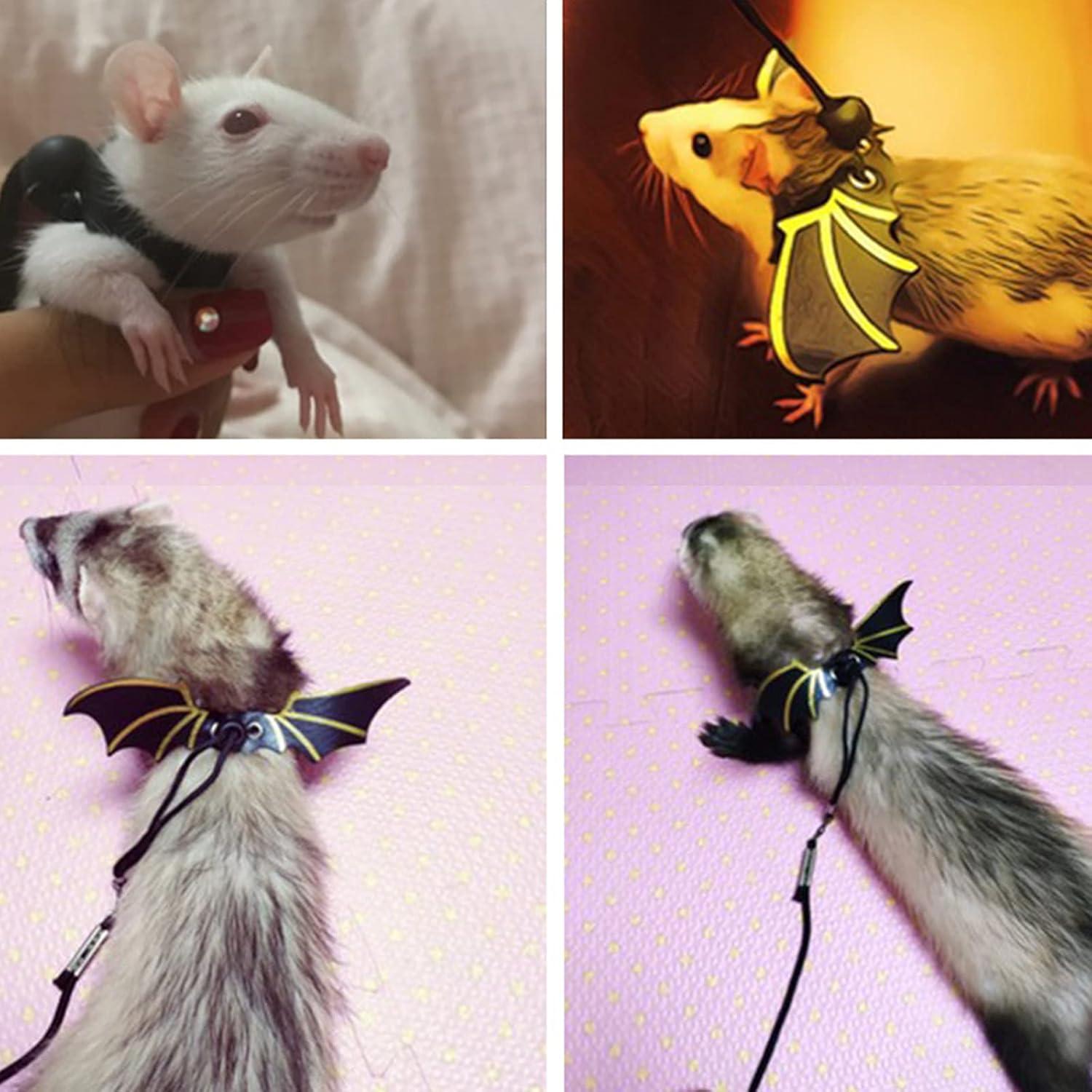 Juego de Arnés y Correa para Dragón Barbudo Worutuk - Ajustable S/M/L