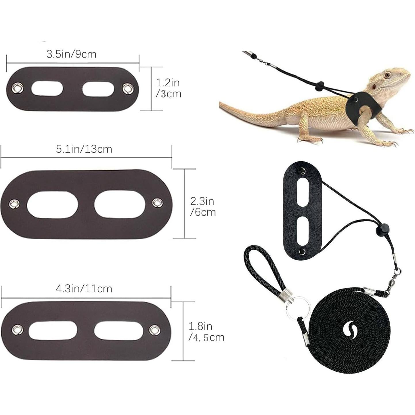 Conjunto Correa y Arnés Ajustable para Dragón Barbudo - 3 Tamaños