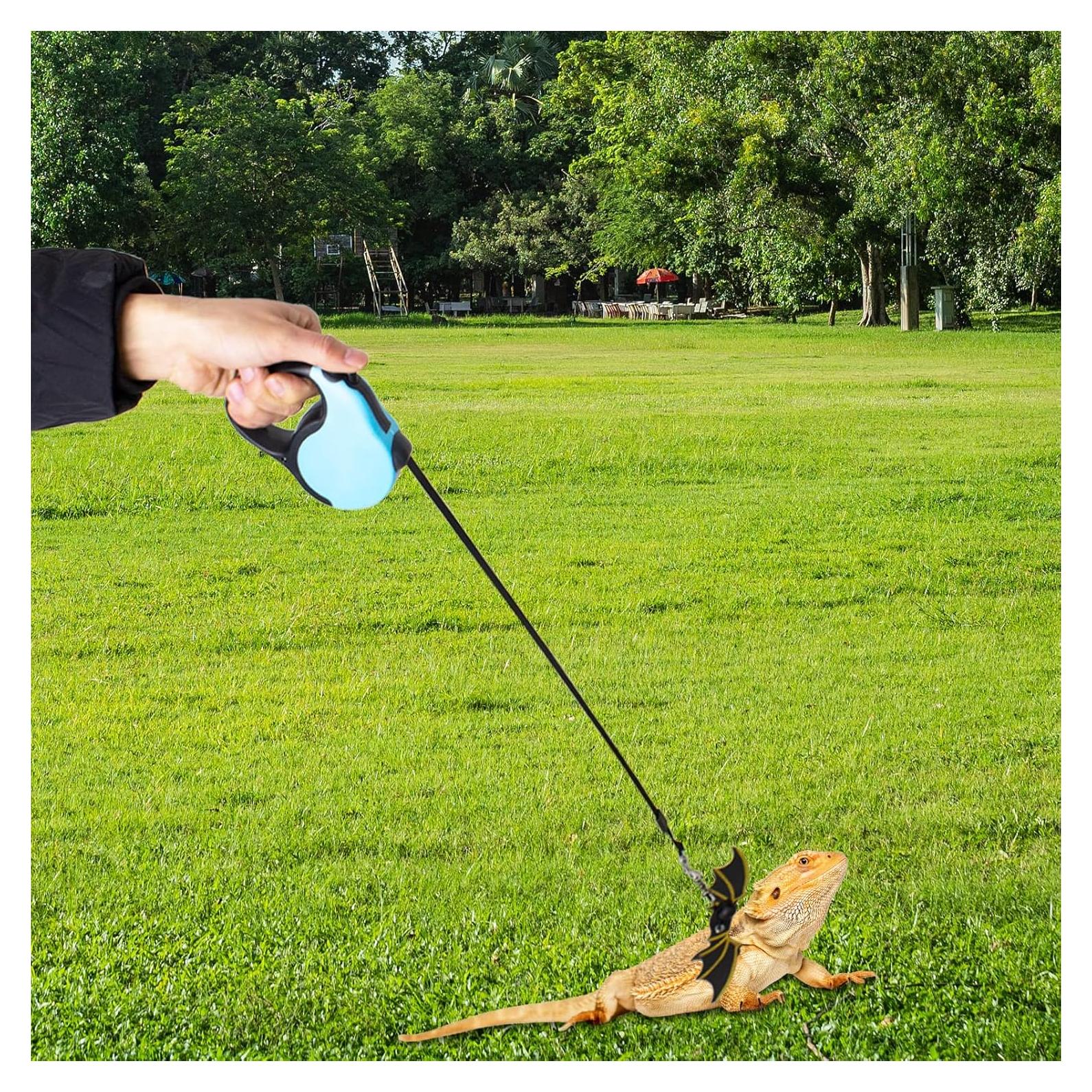 Correa Retráctil para Dragón Barbudo OOXYG con Arnés Ajustable