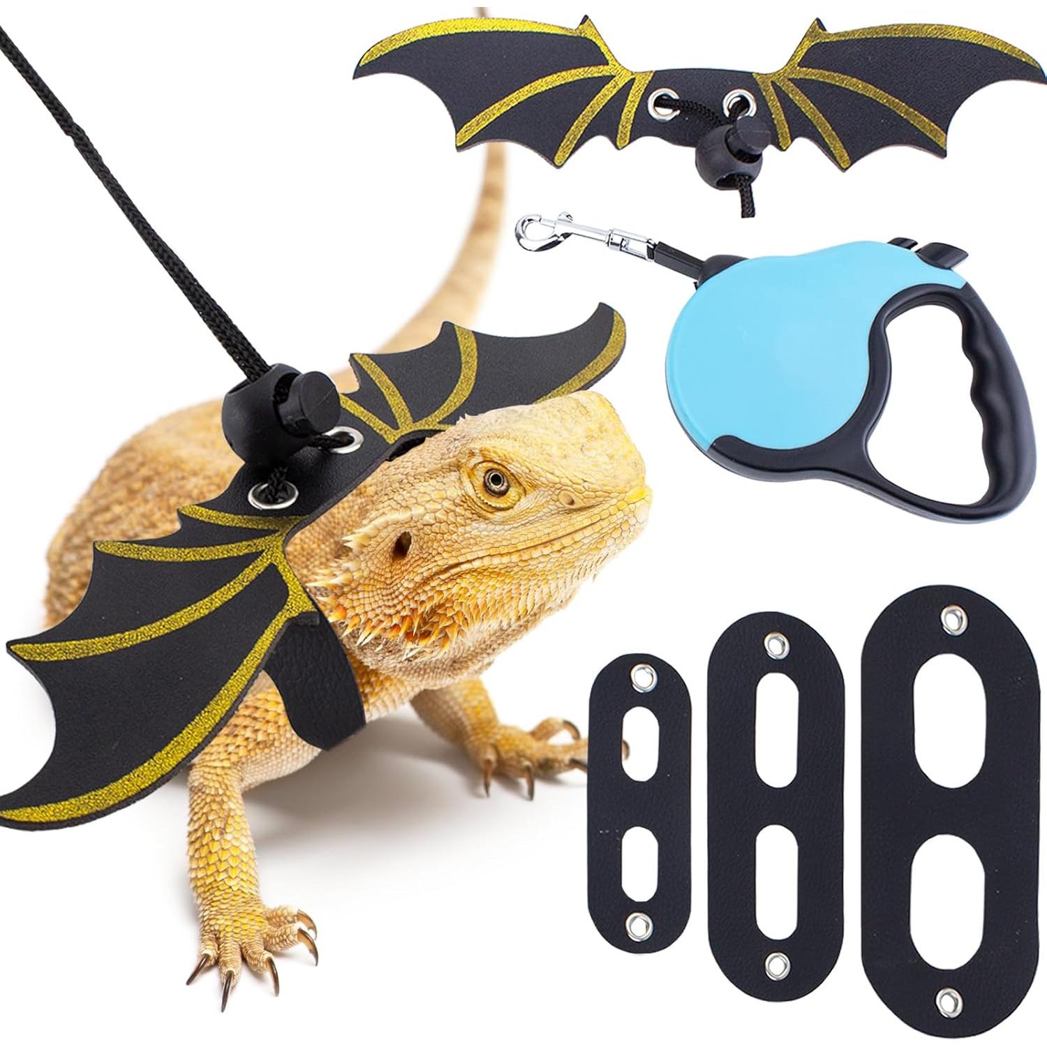 Correa Retráctil para Dragón Barbudo OOXYG con Arnés Ajustable