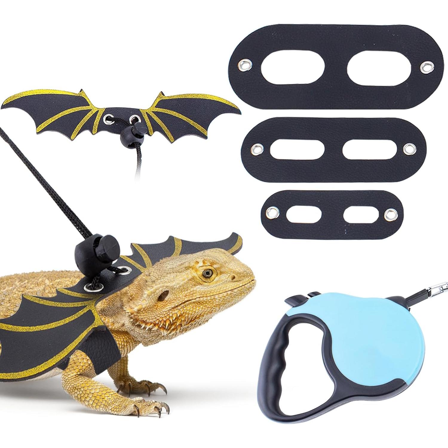 Correa Retráctil para Dragón Barbudo OOXYG con Arnés Ajustable