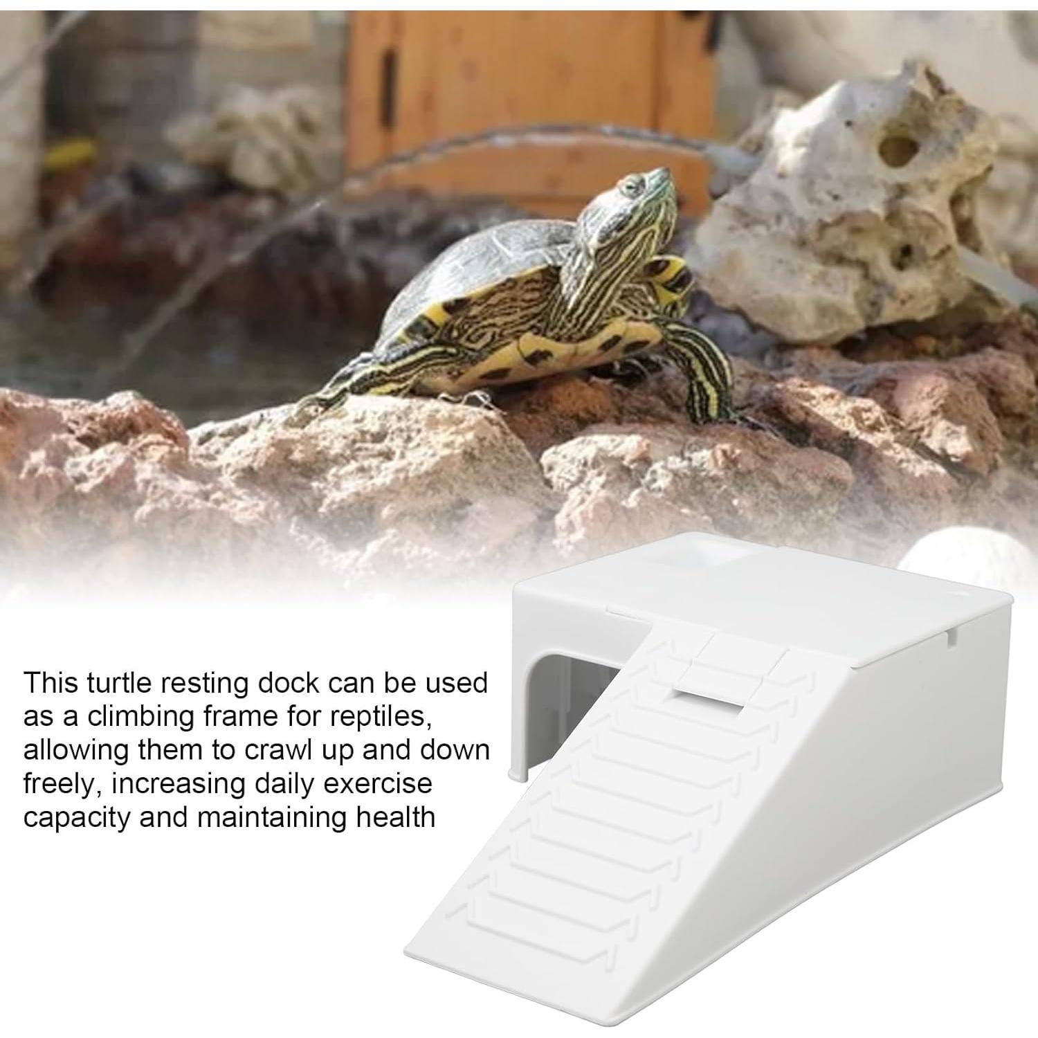 Plataforma de Sol para Tortugas JOROBURO 21cm Plástico Grueso