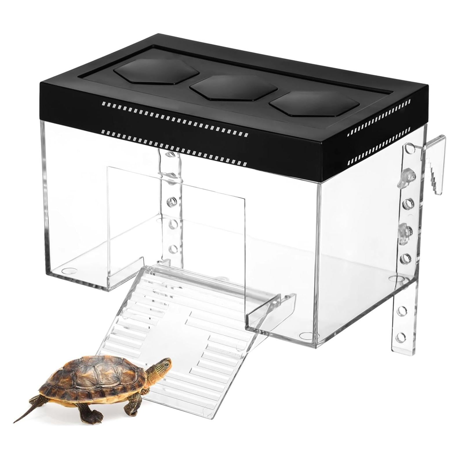 Plataforma Elevada para Tortugas Homaisson - Medio, Transparente